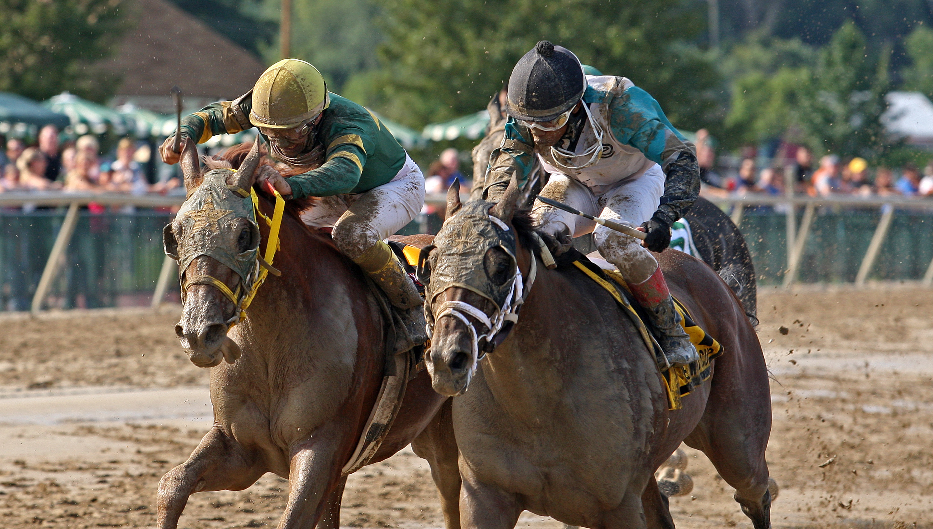 Eldaafer, Greenwood Cup