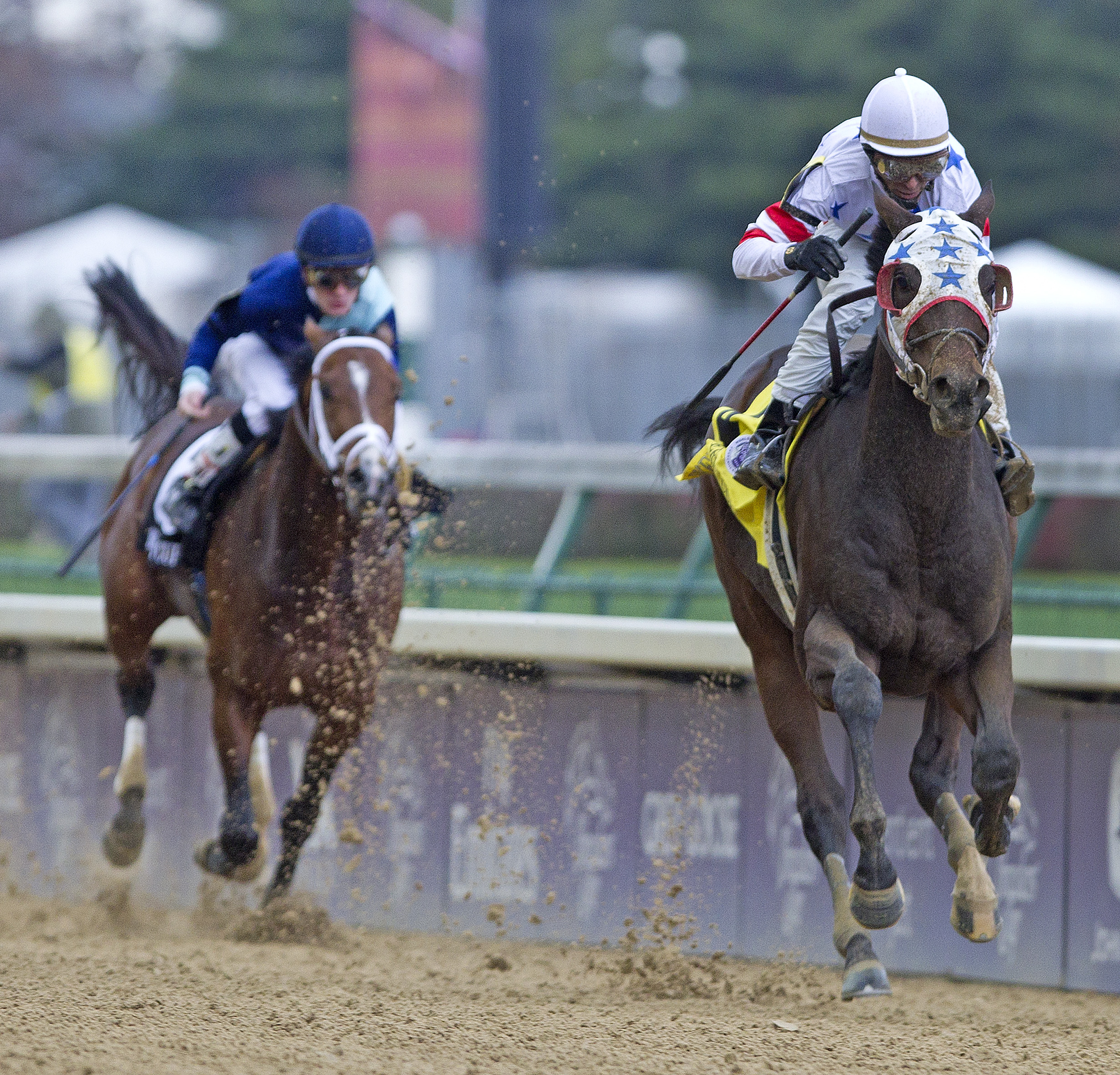 Eldaafer/Breeders' Cup Marathon