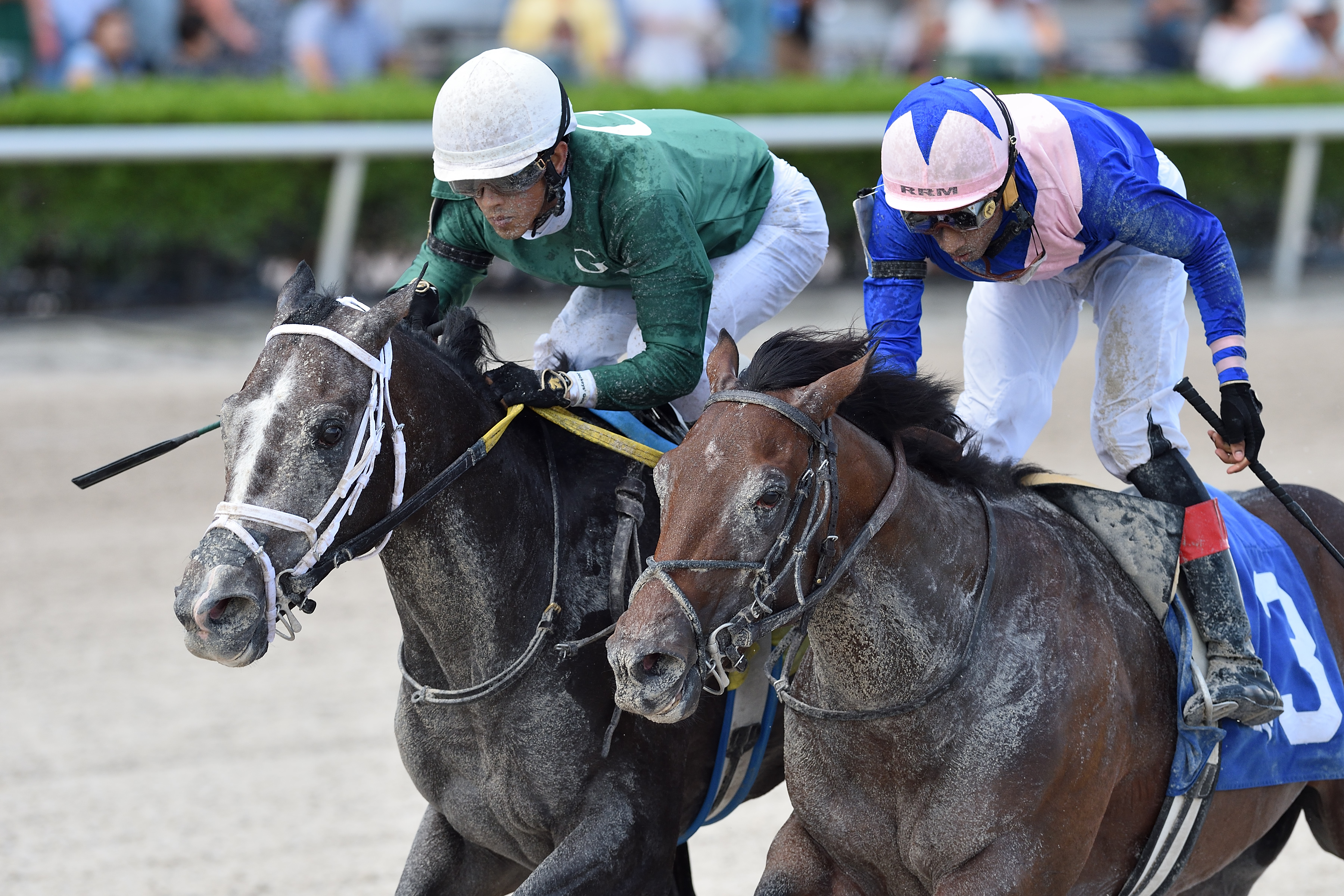 Eldon's Prince (left) wins Armed Forces Stakes 9-18-2021