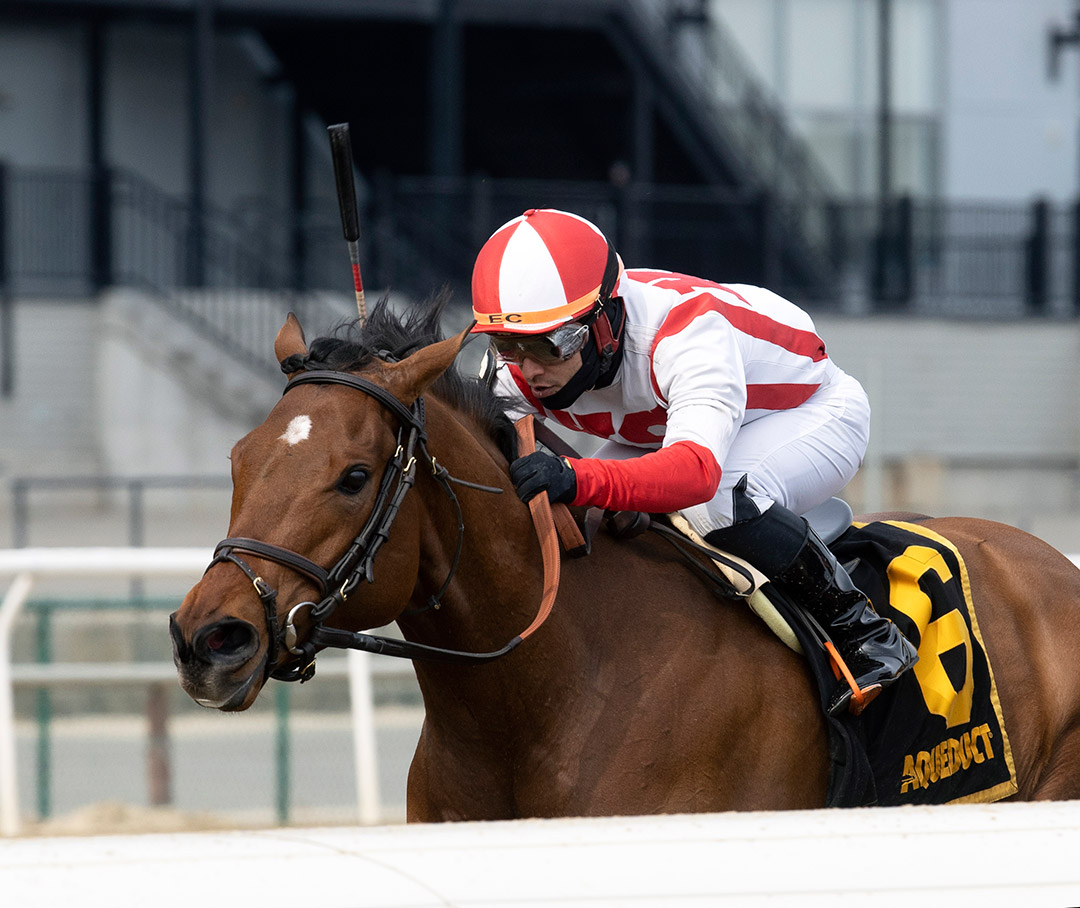 Electability wins a March 5 maiden race at Aqueduct Racetrack