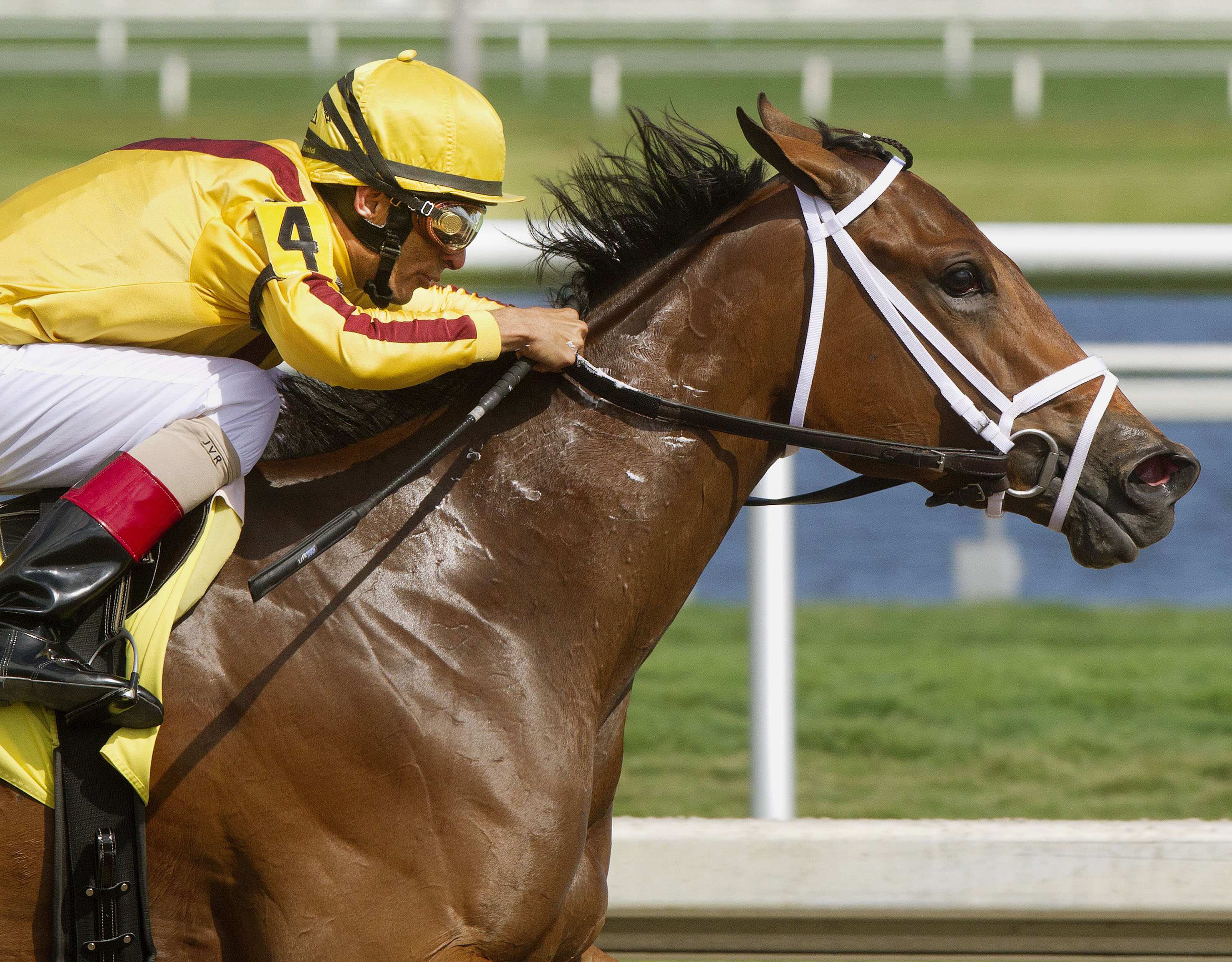 Elena Strikes wins an optional claiming race