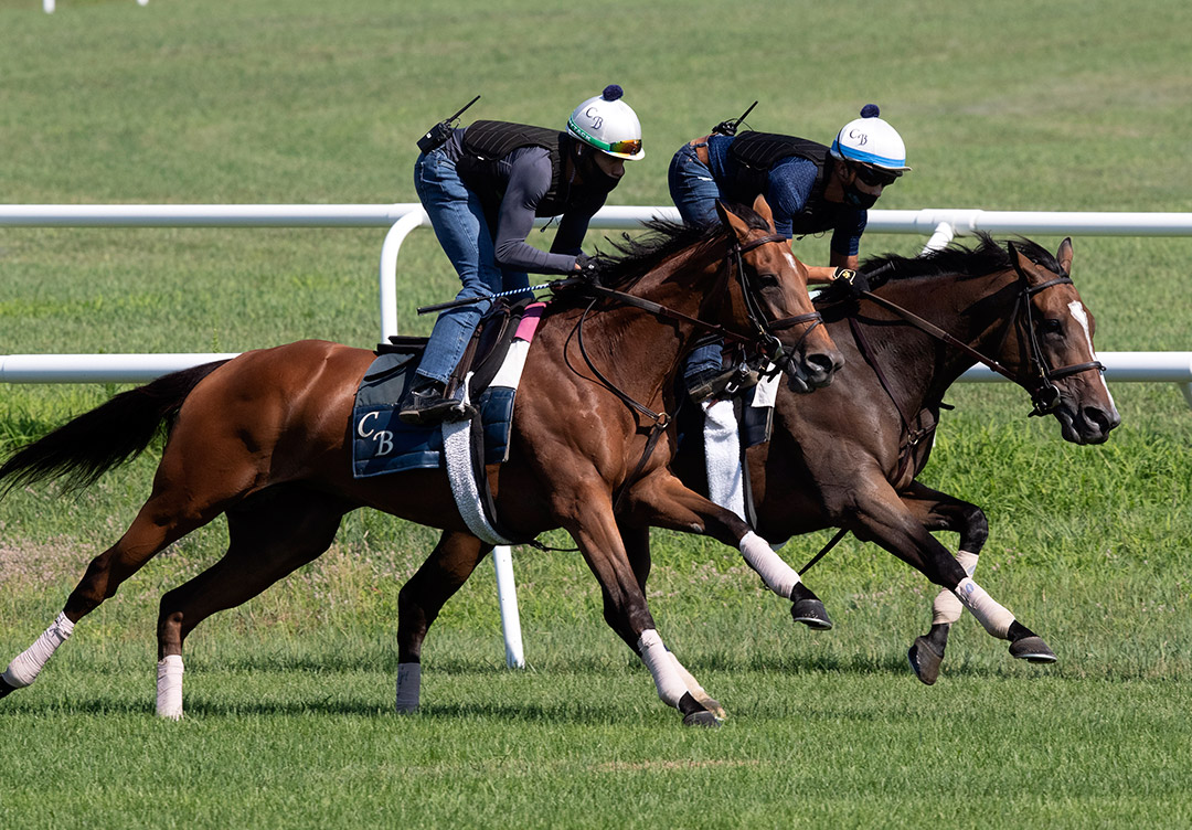Eliade (left) and Sistercharlie (right) train at Saratoga on July 19