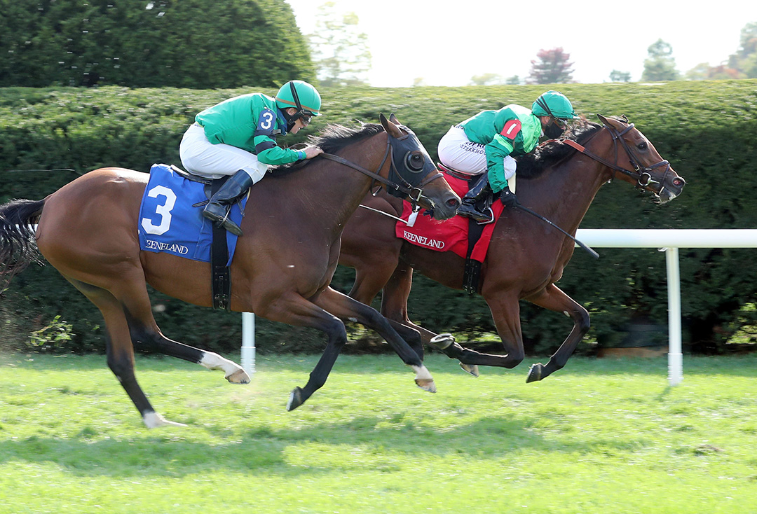Eliade wins an Oct. 8 allowance at Keeneland Racecourse