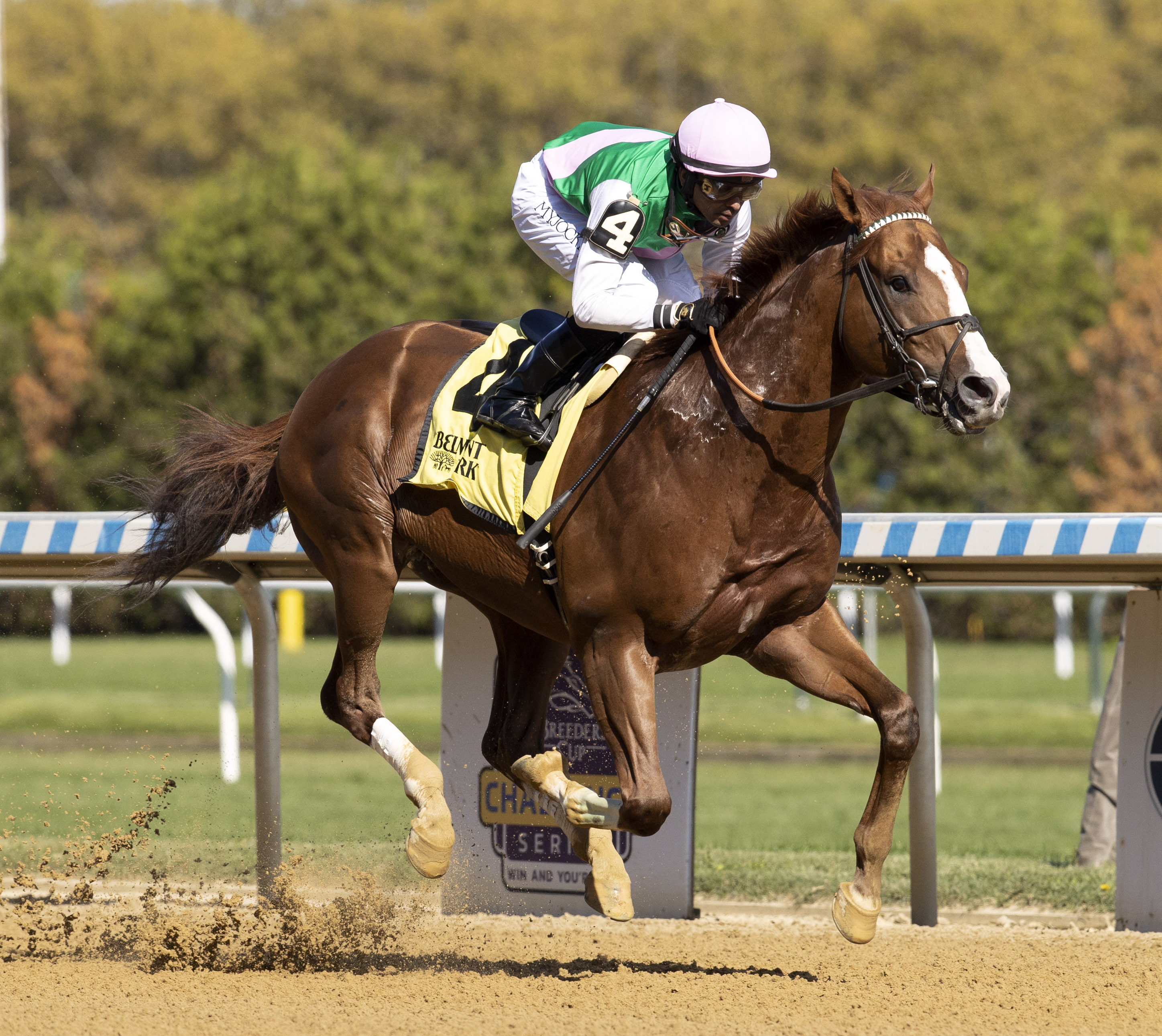 Elite Power/Vosburgh