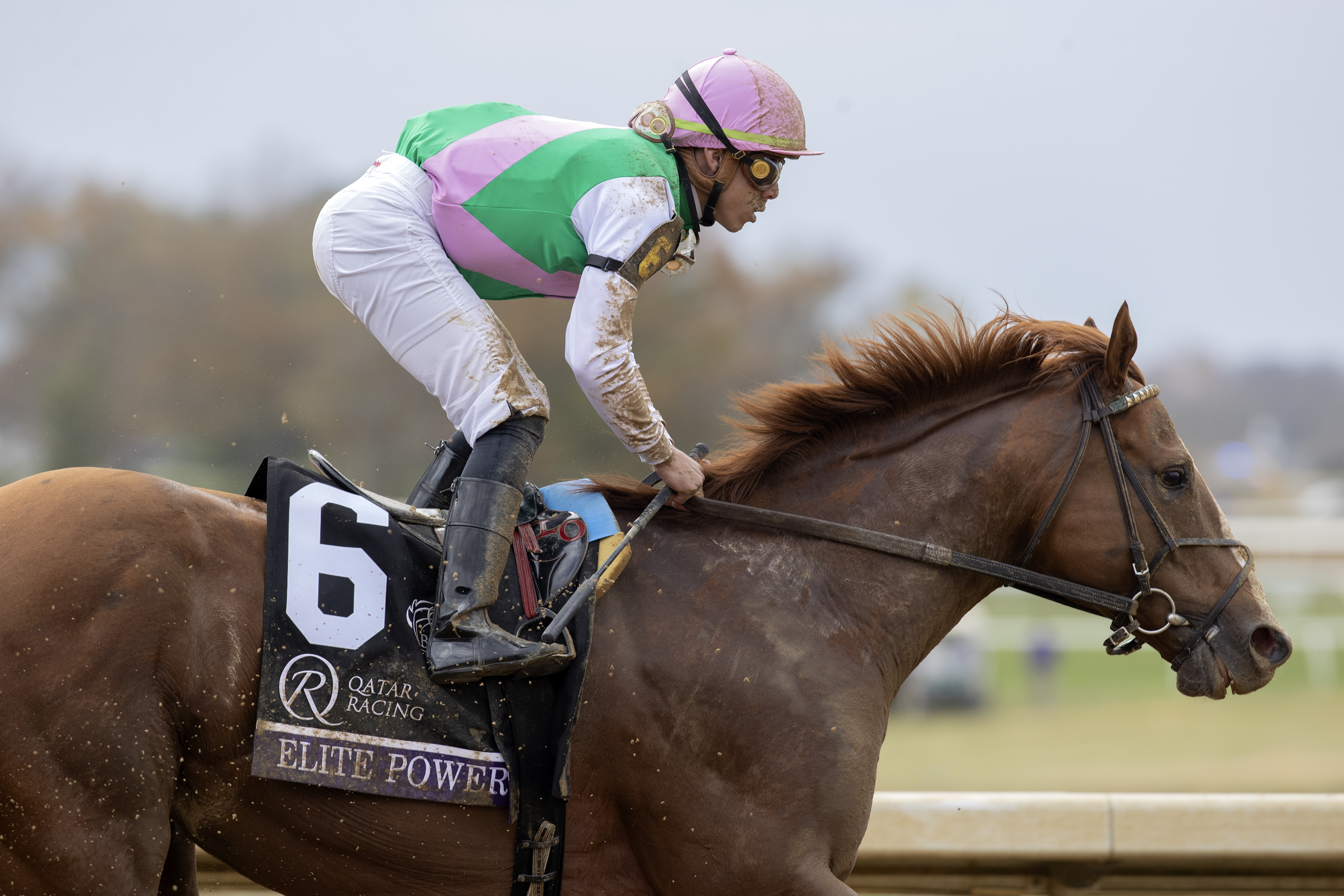 Elite Power/Eclipse Awards