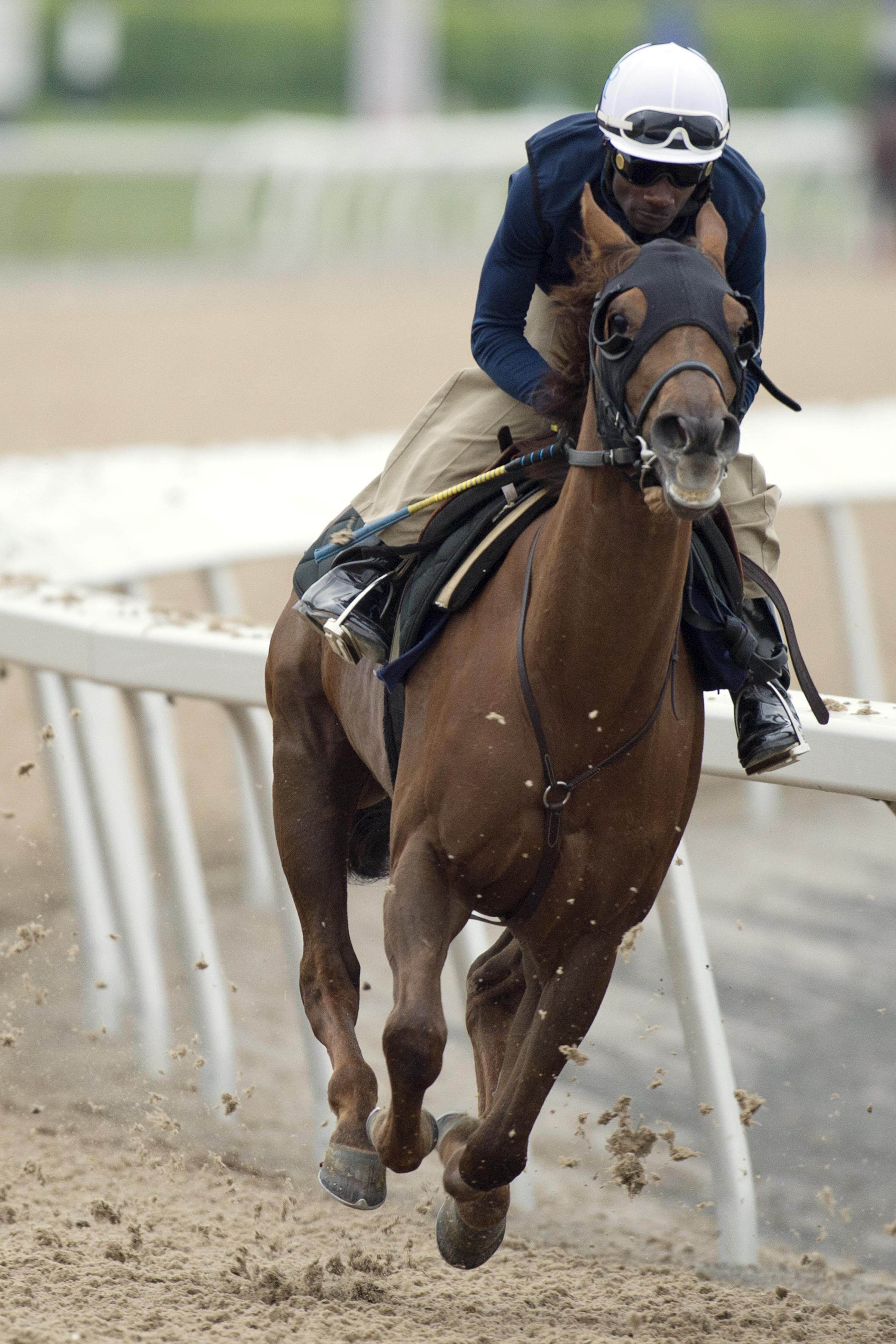 Ellan Vannin trains at Woodbine on May 27