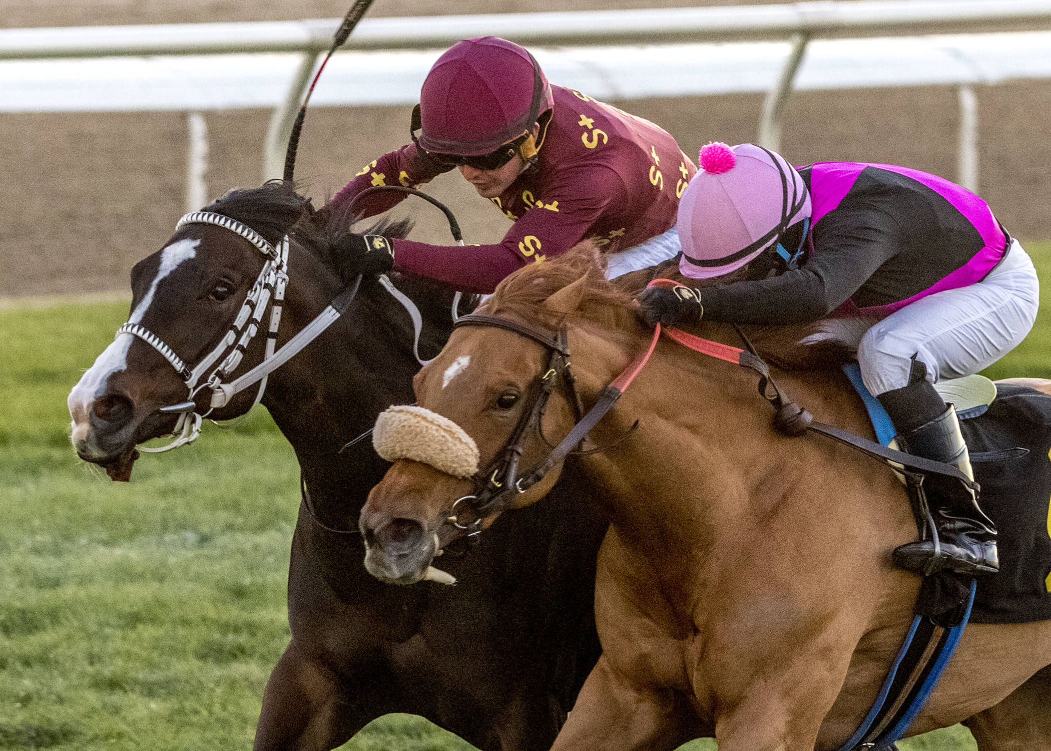 Elle Z wins Fred Aime 1-29-2022