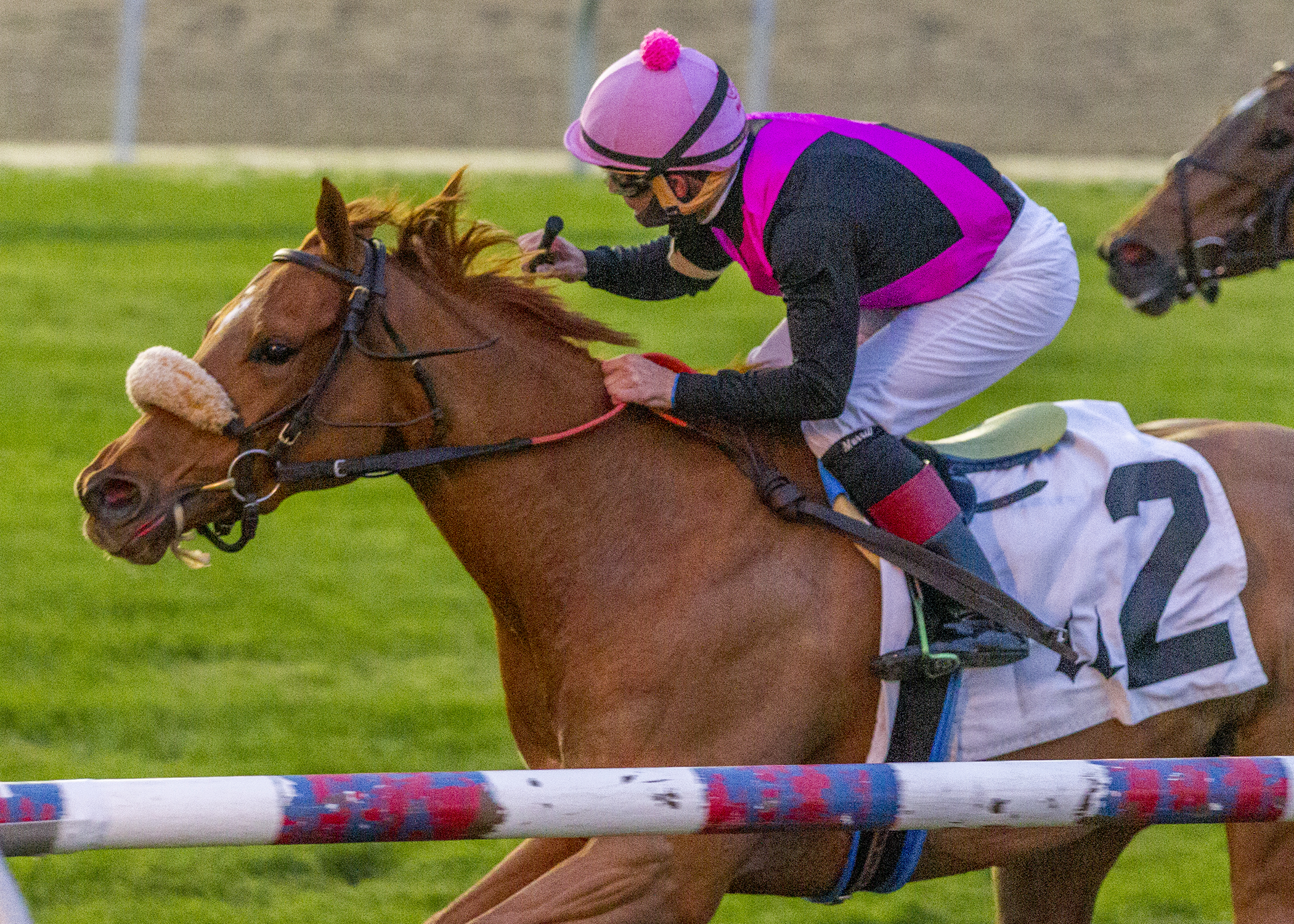 Elle Z wins Pan Zaretta 12-5-2020