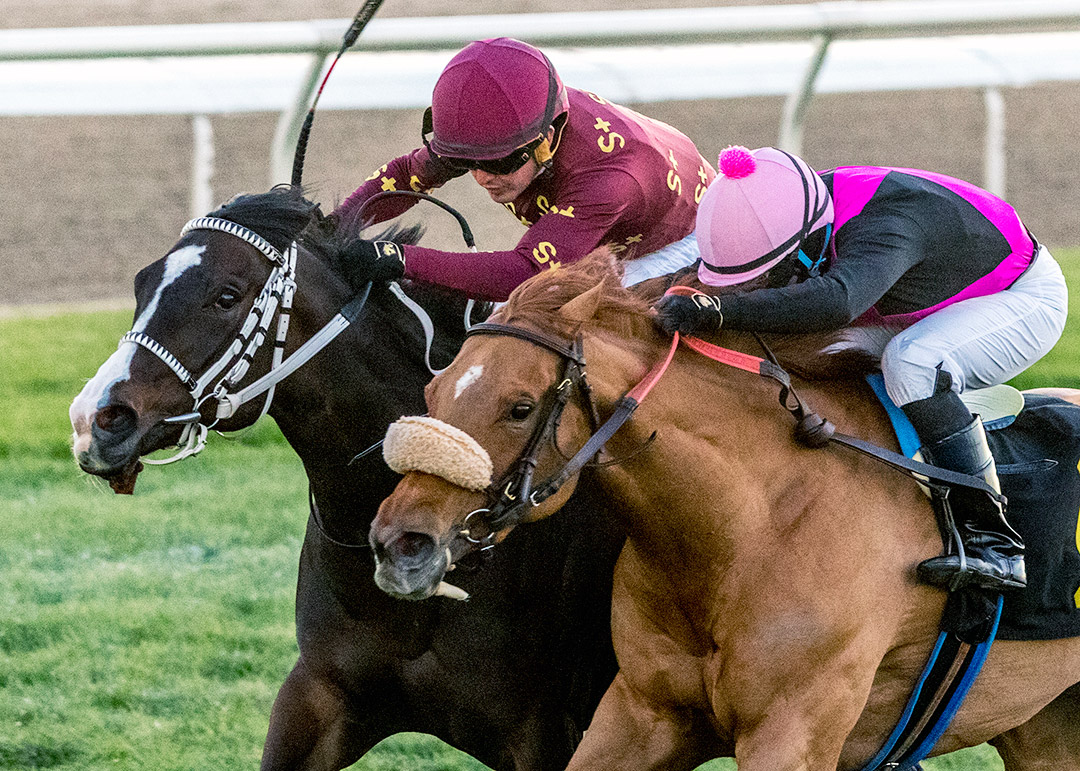 Elle Z (right) wins the 2022 Fred Aime Stakes at Fair Grounds