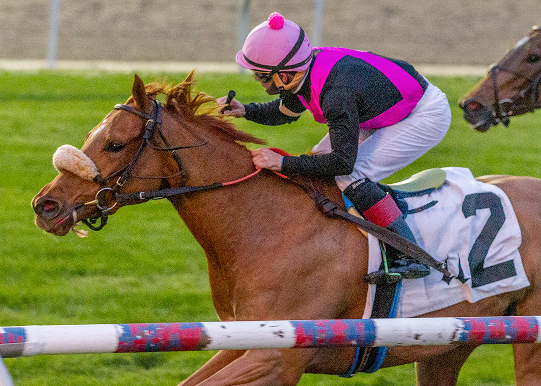 Elle Z wins the 2020 Pan Zareta Stakes at Fair Grounds