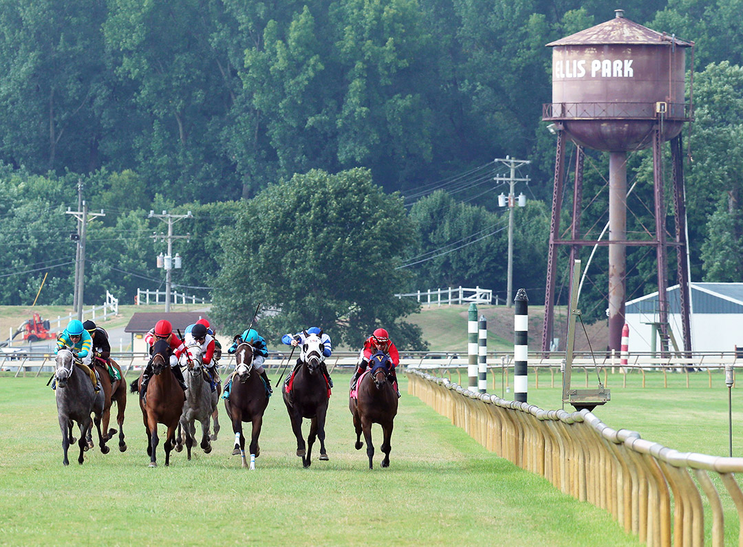 Ellis Park racing, 2019