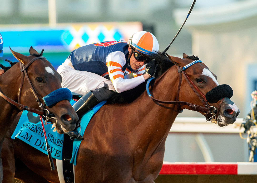 Elm Drive wins the 2021 Sorrento Stakes at Del Mar