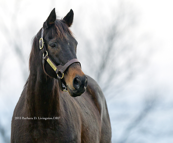 Elmhurst at Old Mims Retirement Haven in 2015