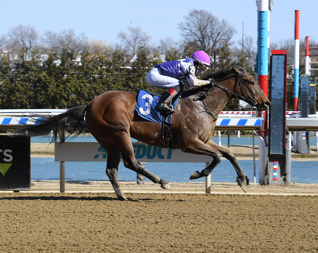 Eloquent Speaker wins a March 21 allowance at Aqueduct