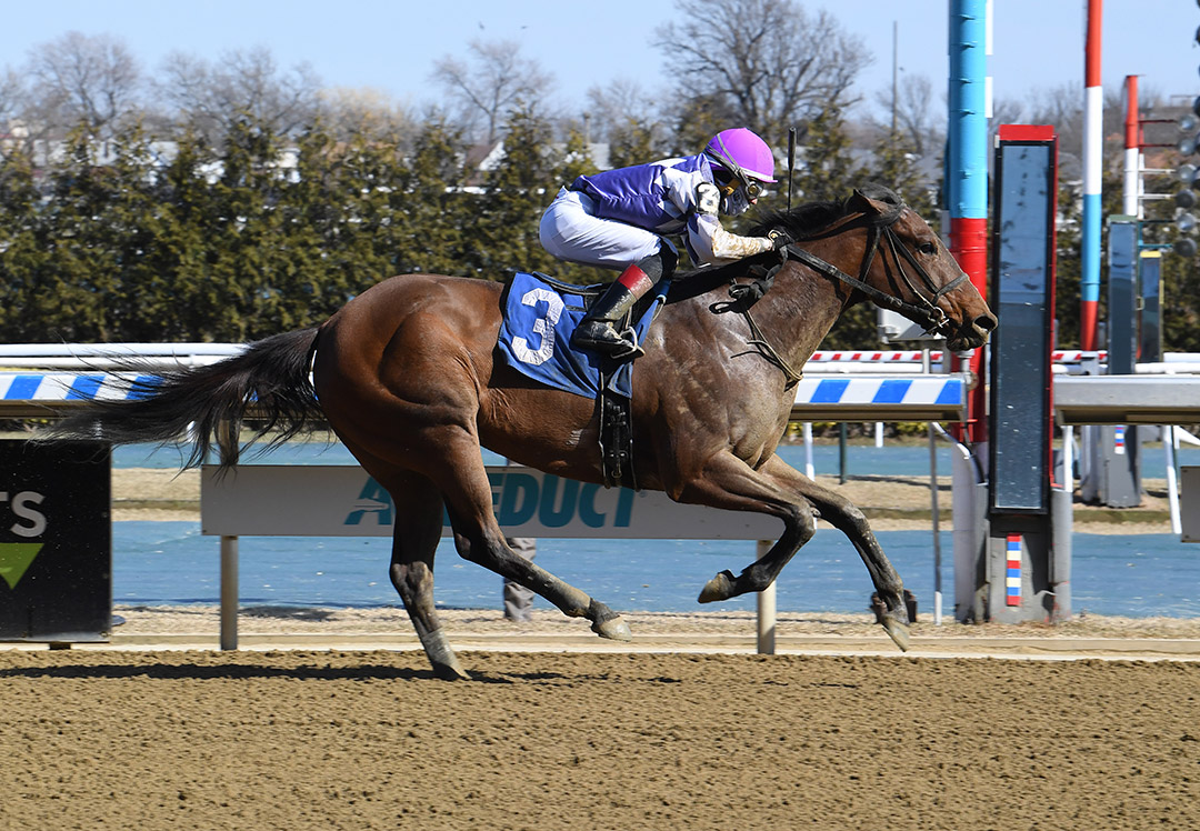Eloquent Speaker wins a March 2021 allowance at Aqueduct