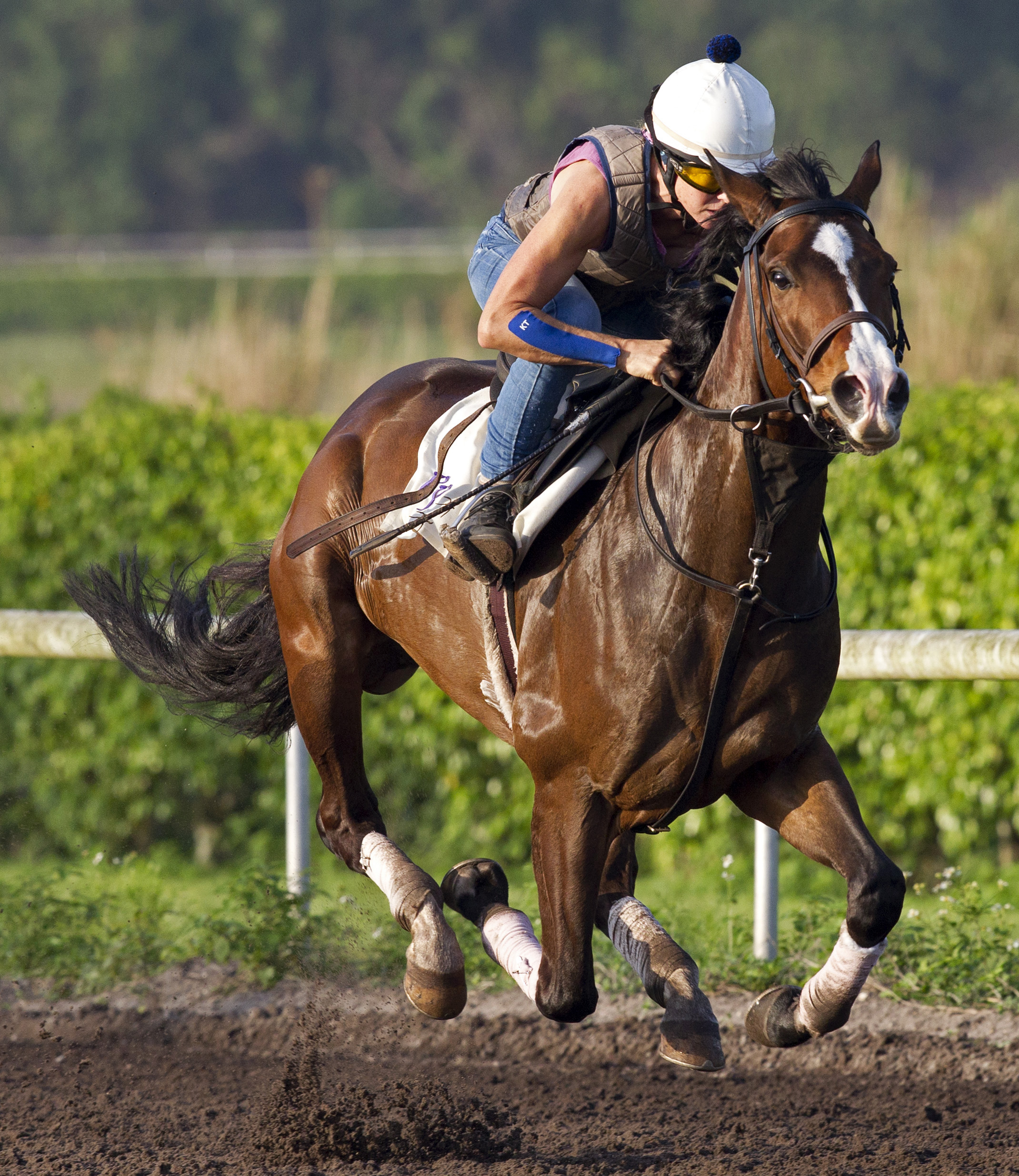 Elroi trains at Palm Meadows on March 26
