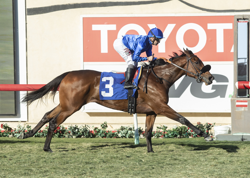 Elsa wins the 2018 Jimmy Durante Stakes