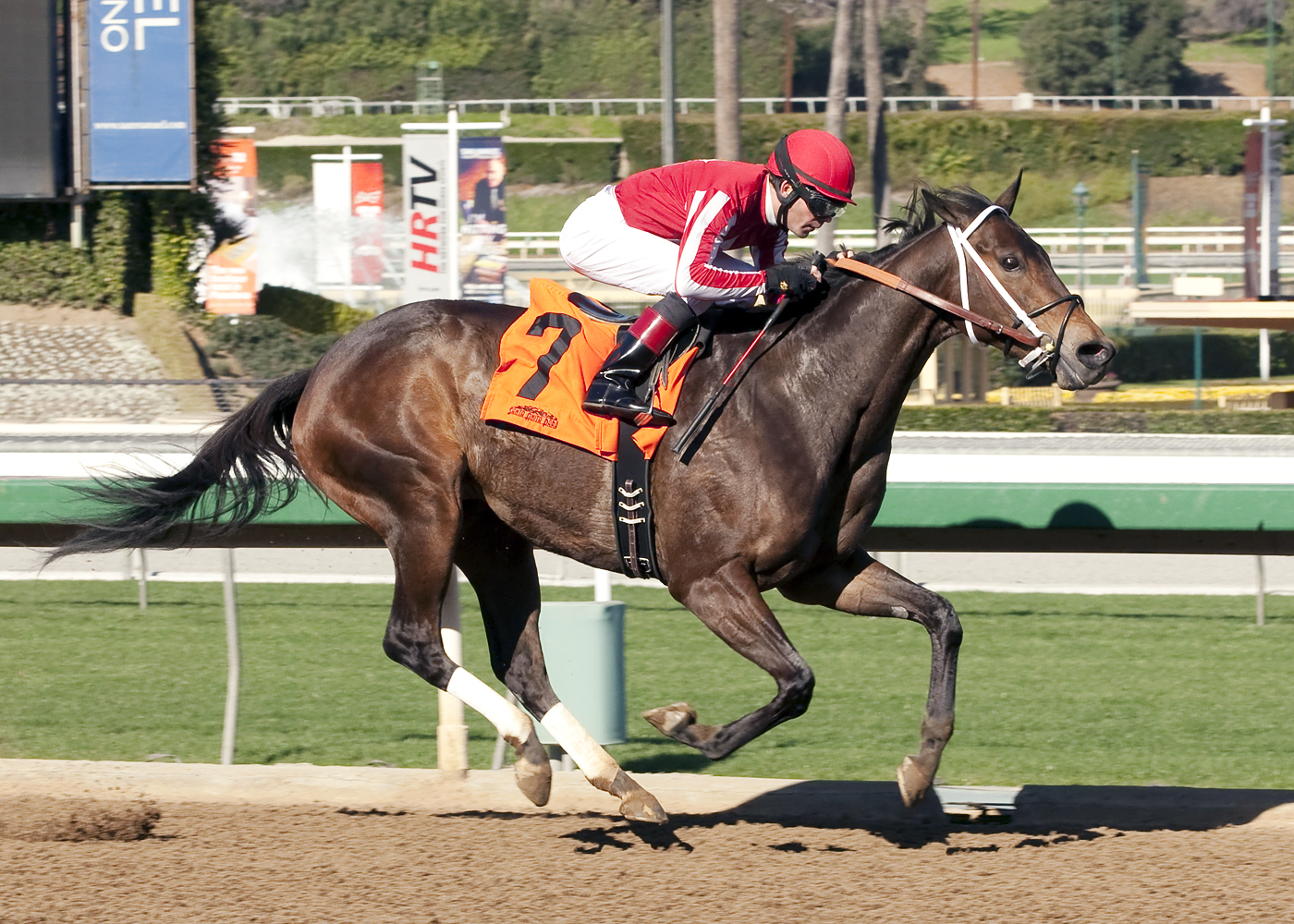 Eltoninadress wins a claiming race