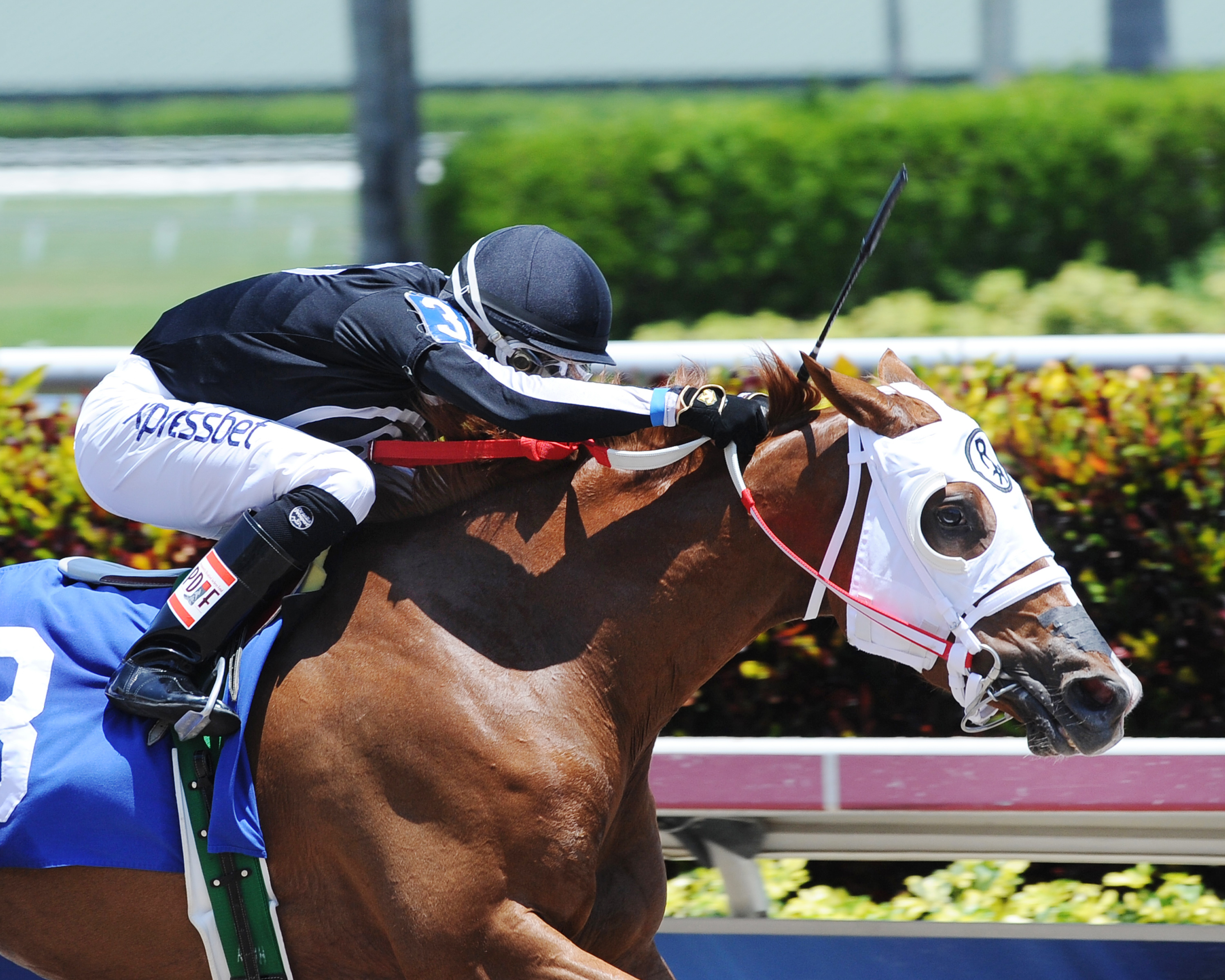 Elusive Harmony wins a claiming race on May 24