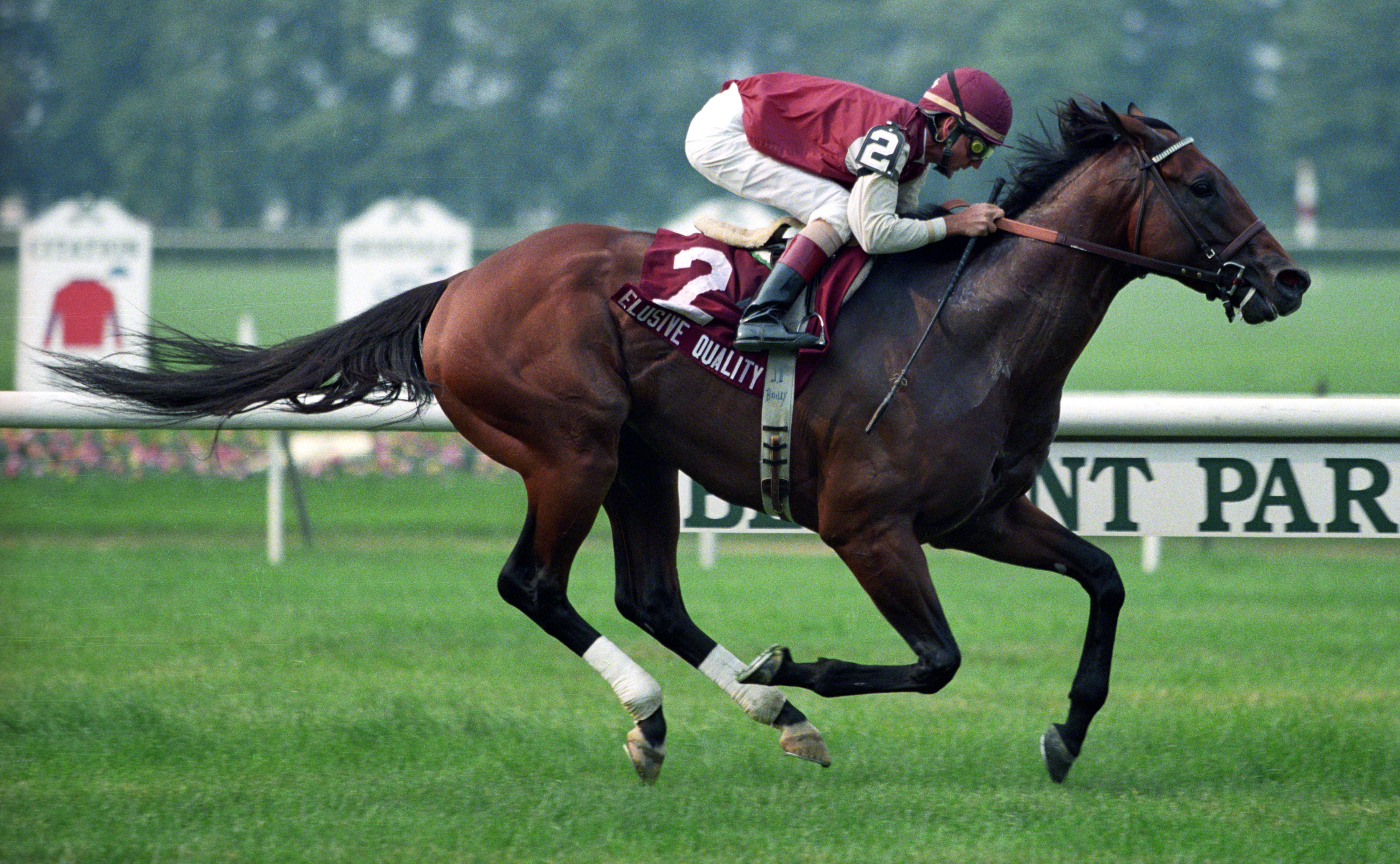 Elusive Quality sets a record in the 1998 Poker Stakes