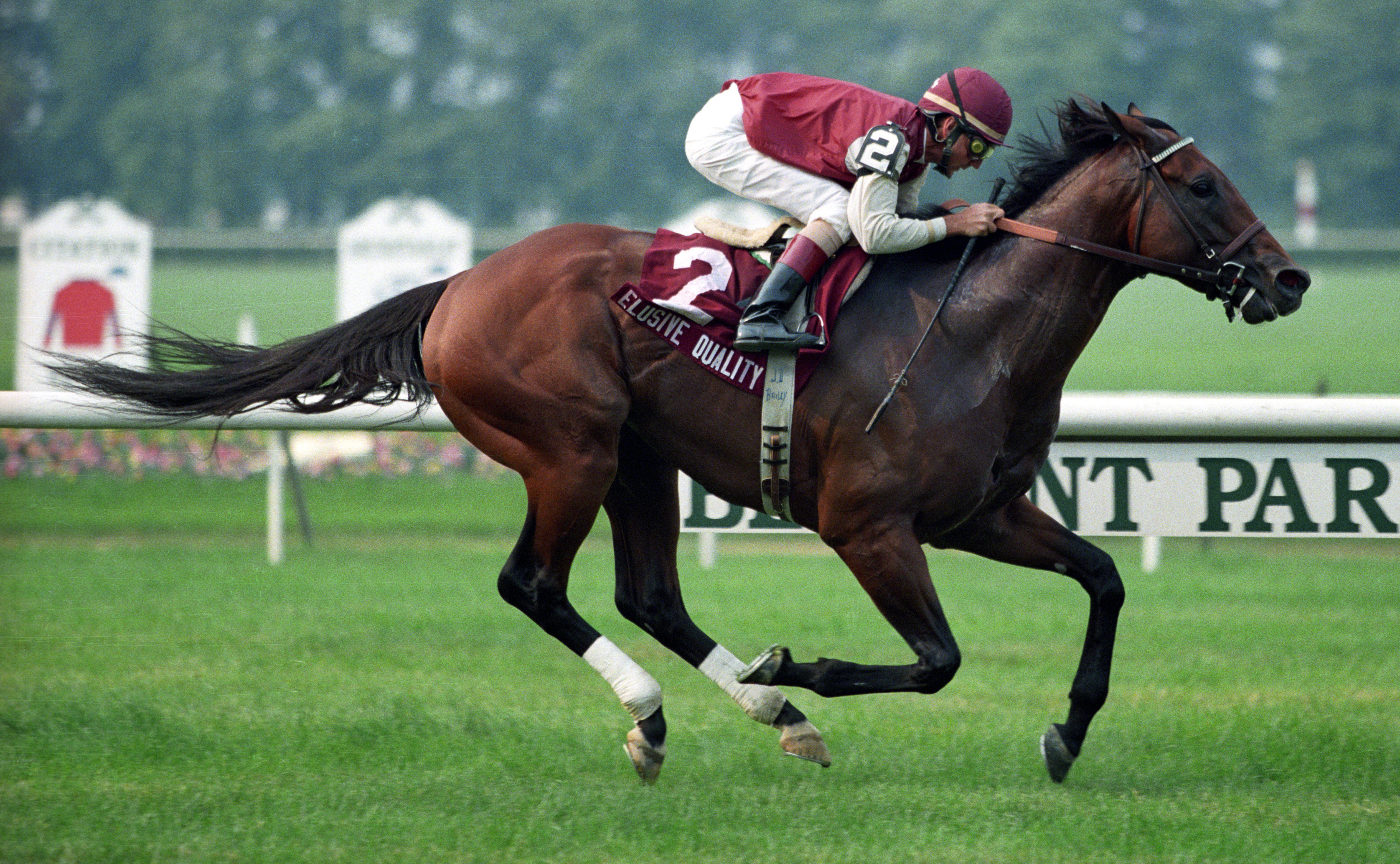 Elusive Quality sets a world record for the mile in the 1998 Poker Stakes