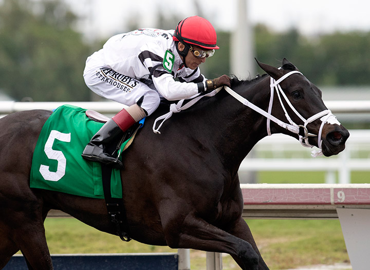 Elusive Molly wins a Feb. 1 allowance at Gulfstream Park