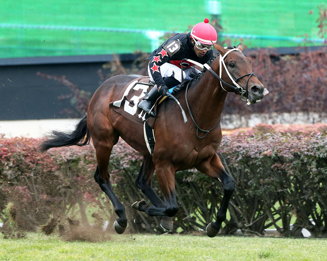 Elusive d'Oro wins a Nov. 17, 2019 maiden race at Churchill Downs