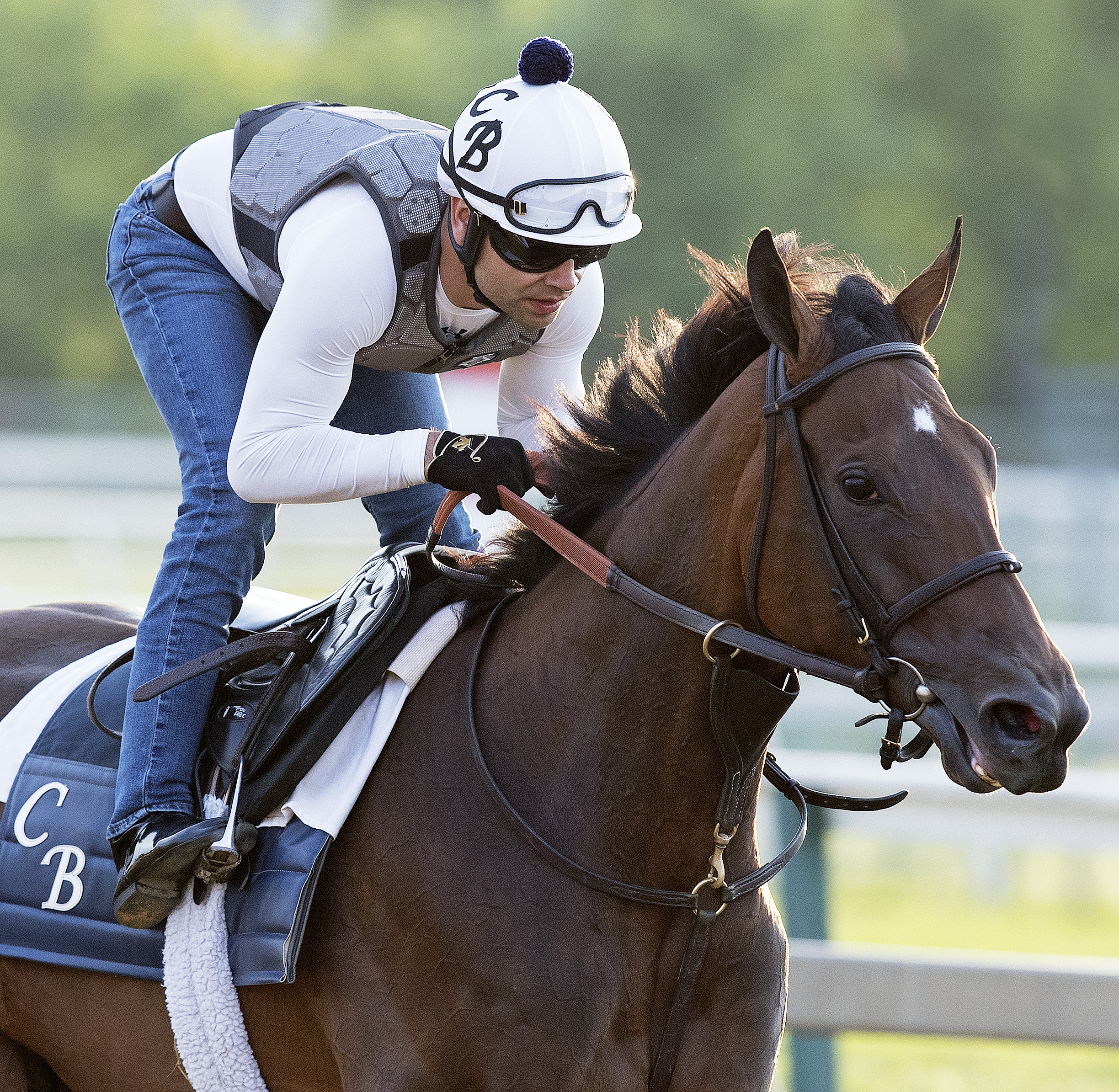 Elysea's World trains at Pimlico on May 18