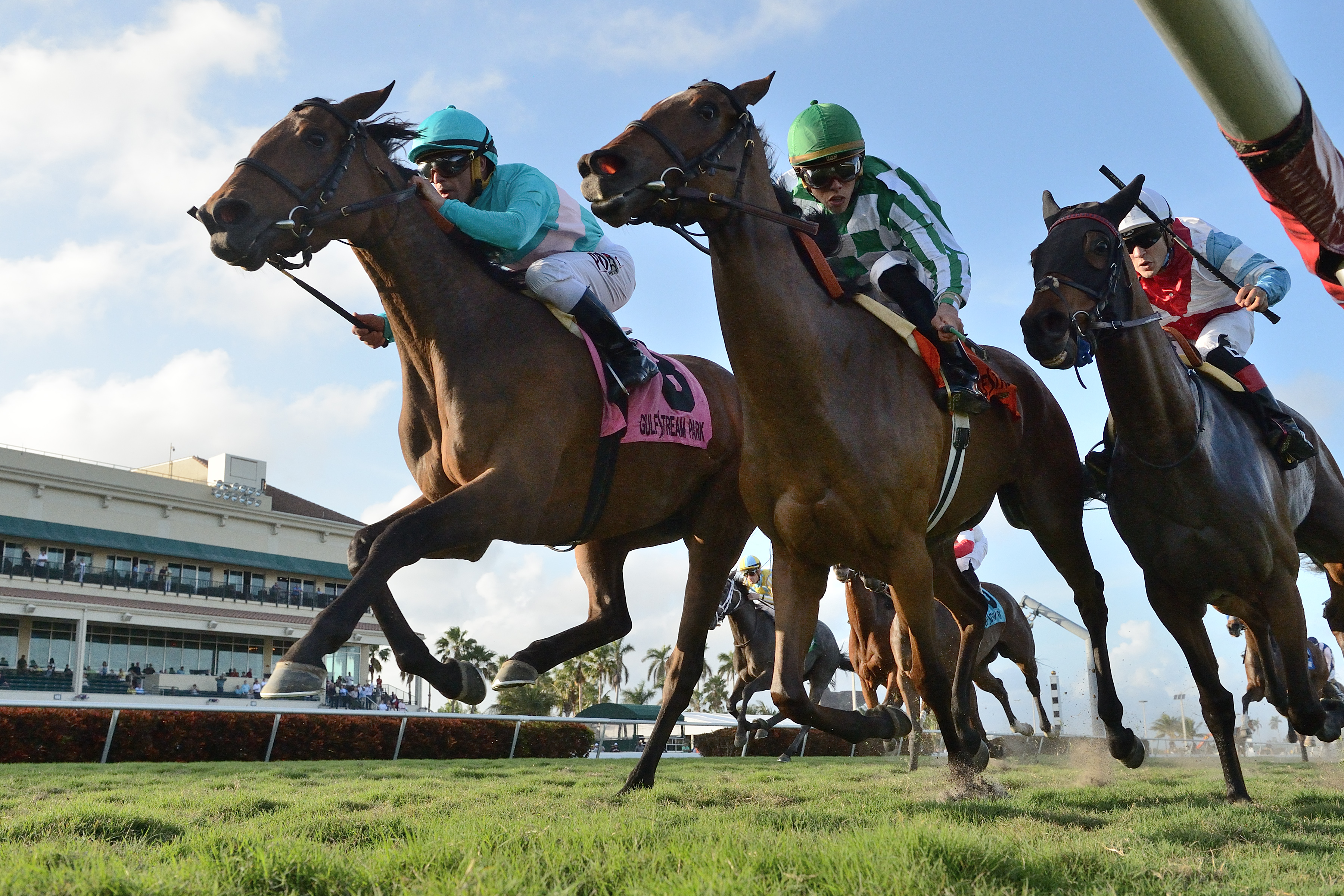 Elysea's World (left) wins the 2018 Suwannee River Stakes