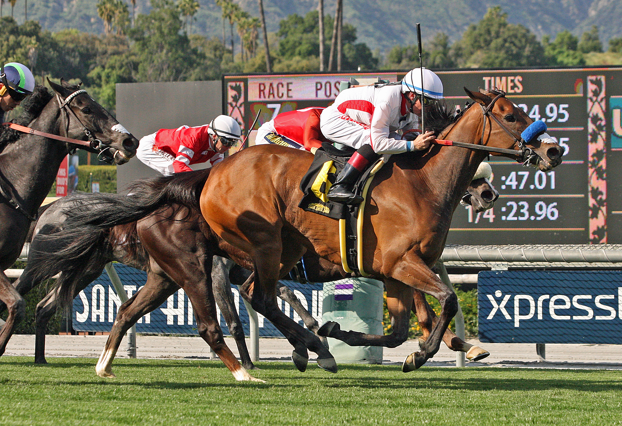 Elysea-s World wins the 2019 Santa Ana Stakes