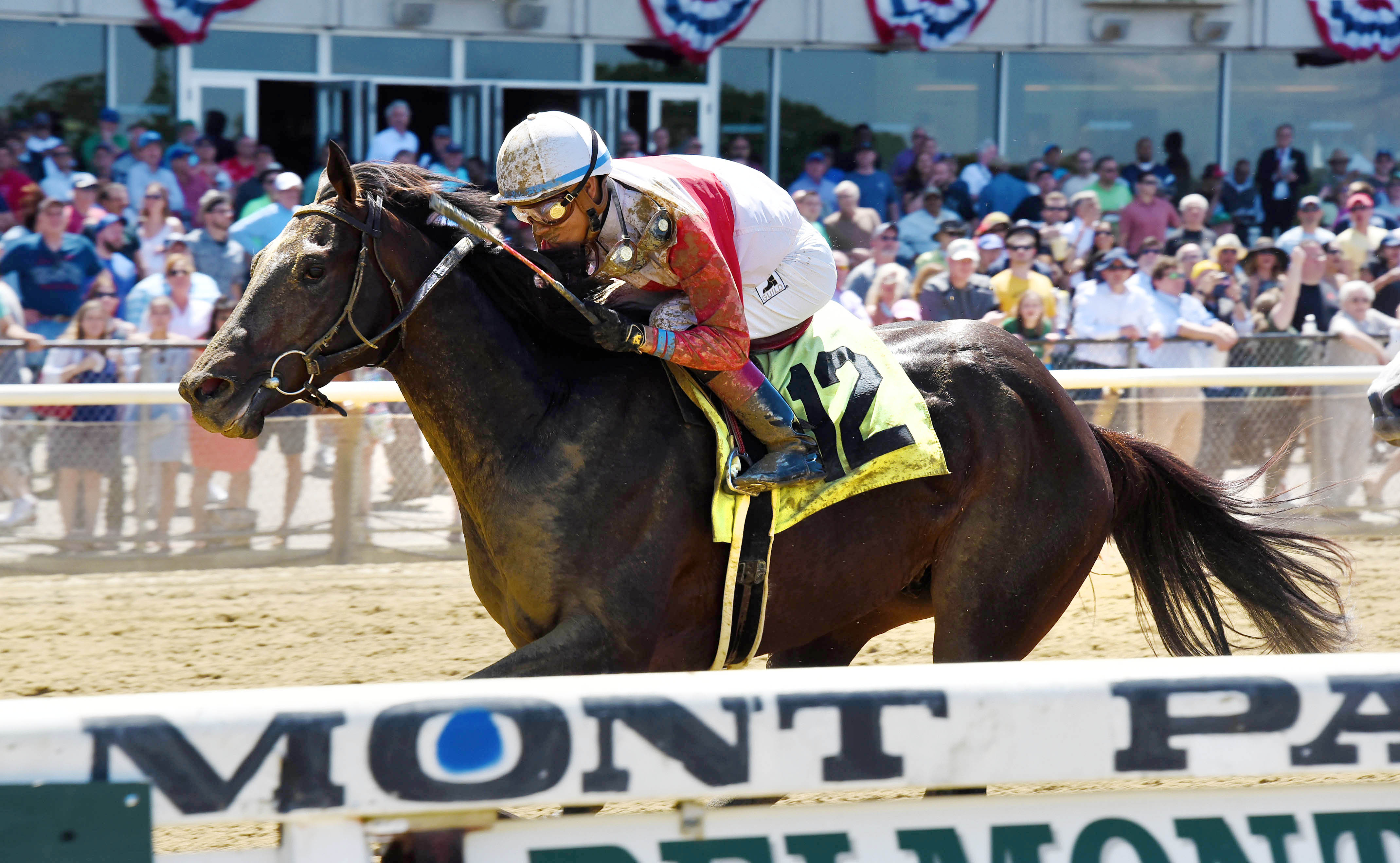 Emancipation wins a maiden race at Belmont Park