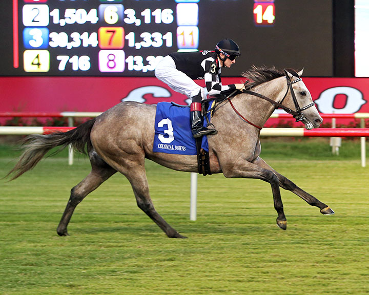 Embolden wins the 2019 Jamestown Stakes at Colonial Downs