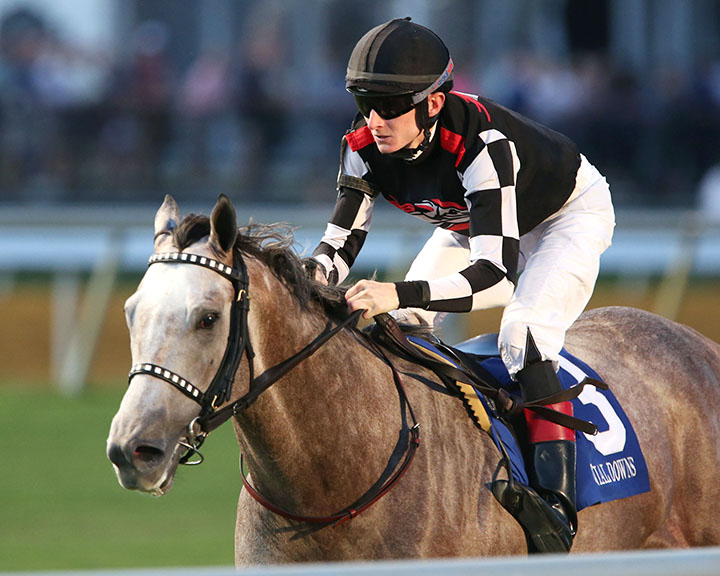 Embolden wins the 2019 Jamestown Stakes at Colonial Downs