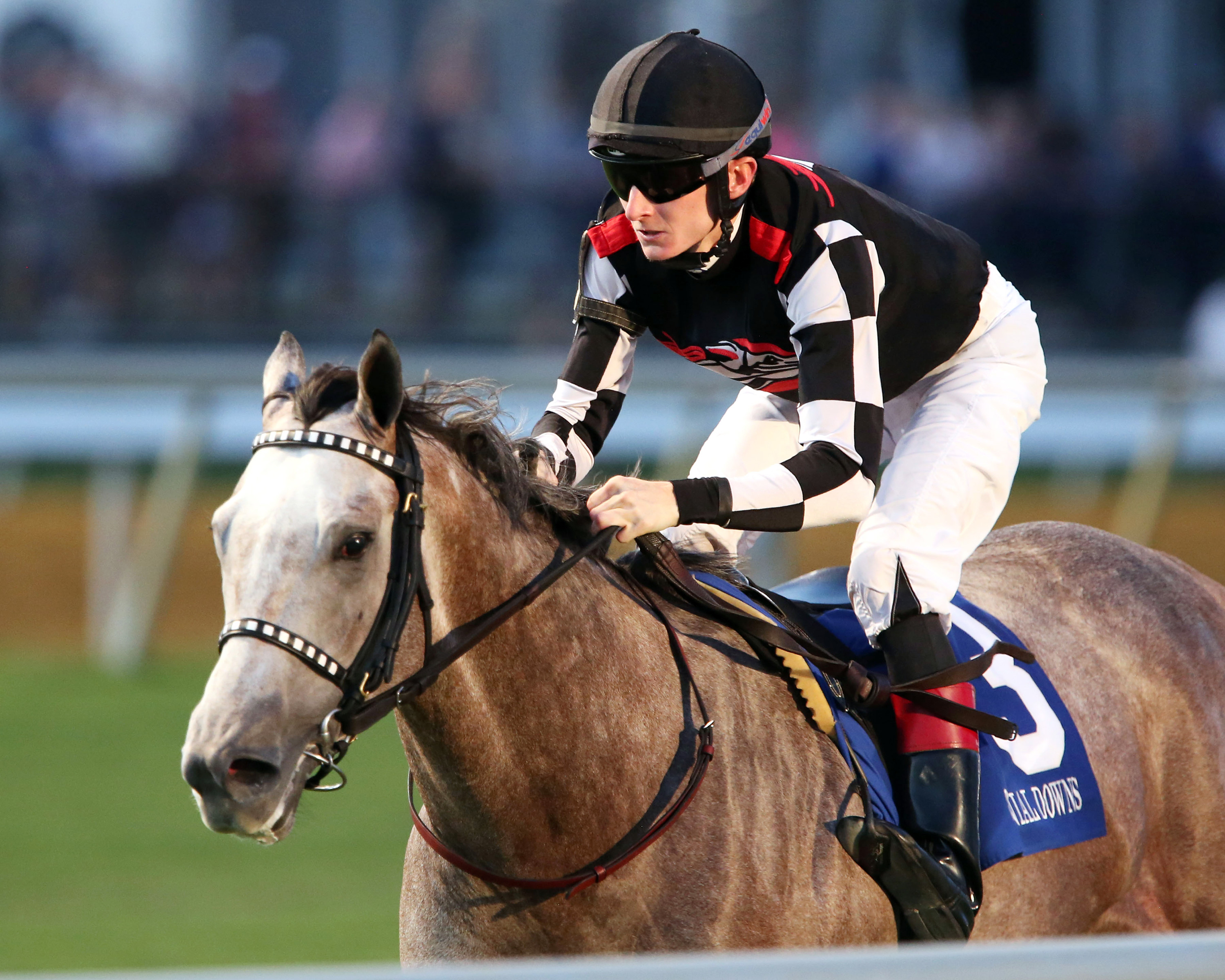 Embolden wins the 2019 Jamestown Stakes at Colonial Downs