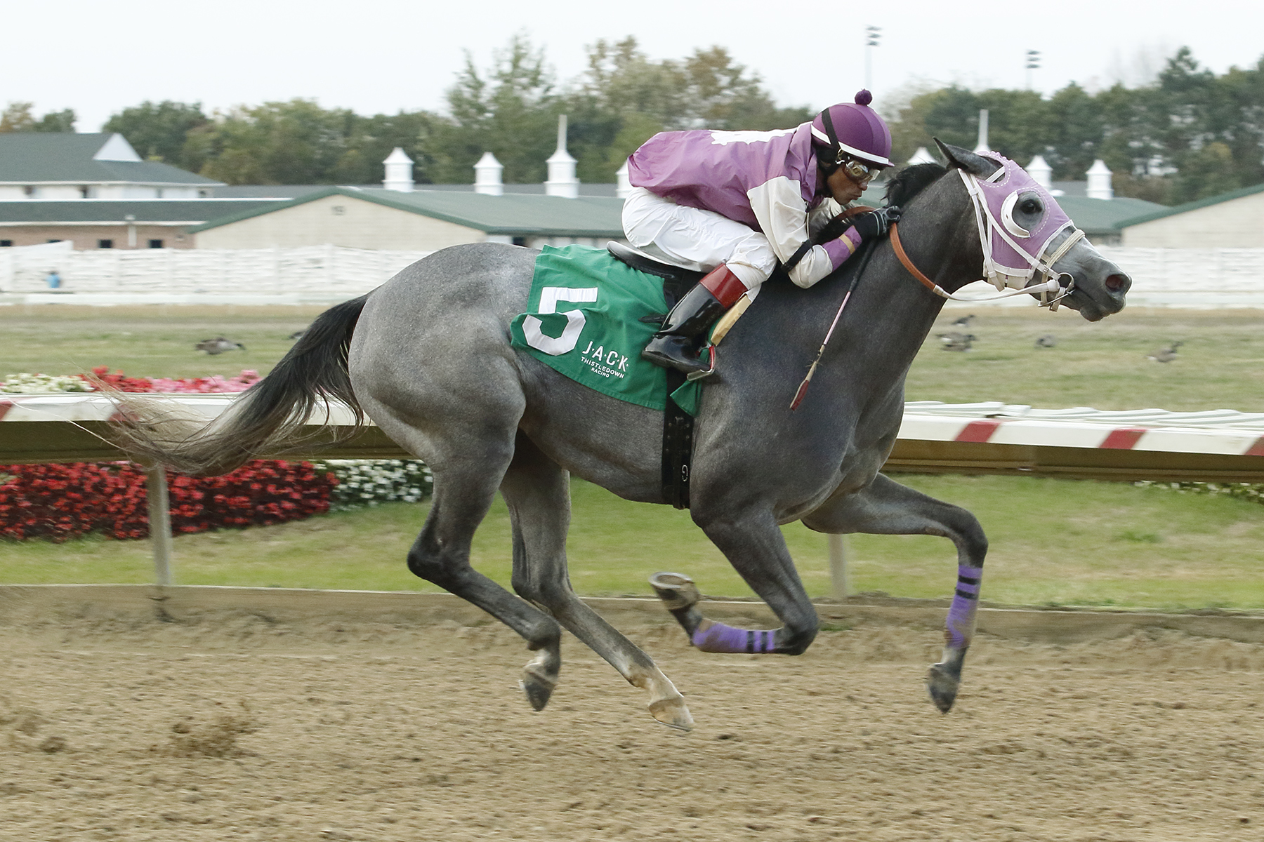 Pure Justice wins the 2017 Emerald Necklace