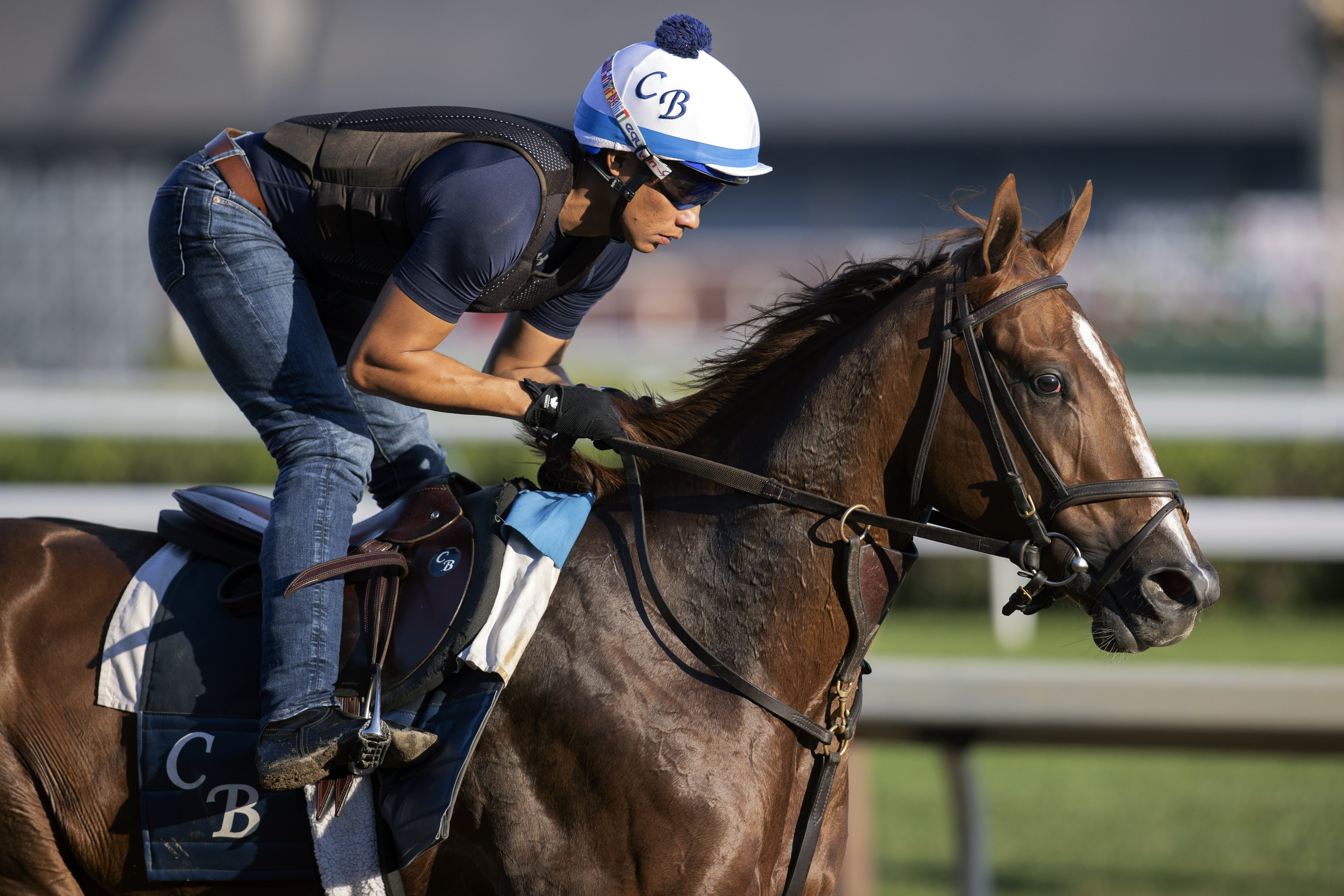 Eminent Victor trains at Saratoga on July 20 2022