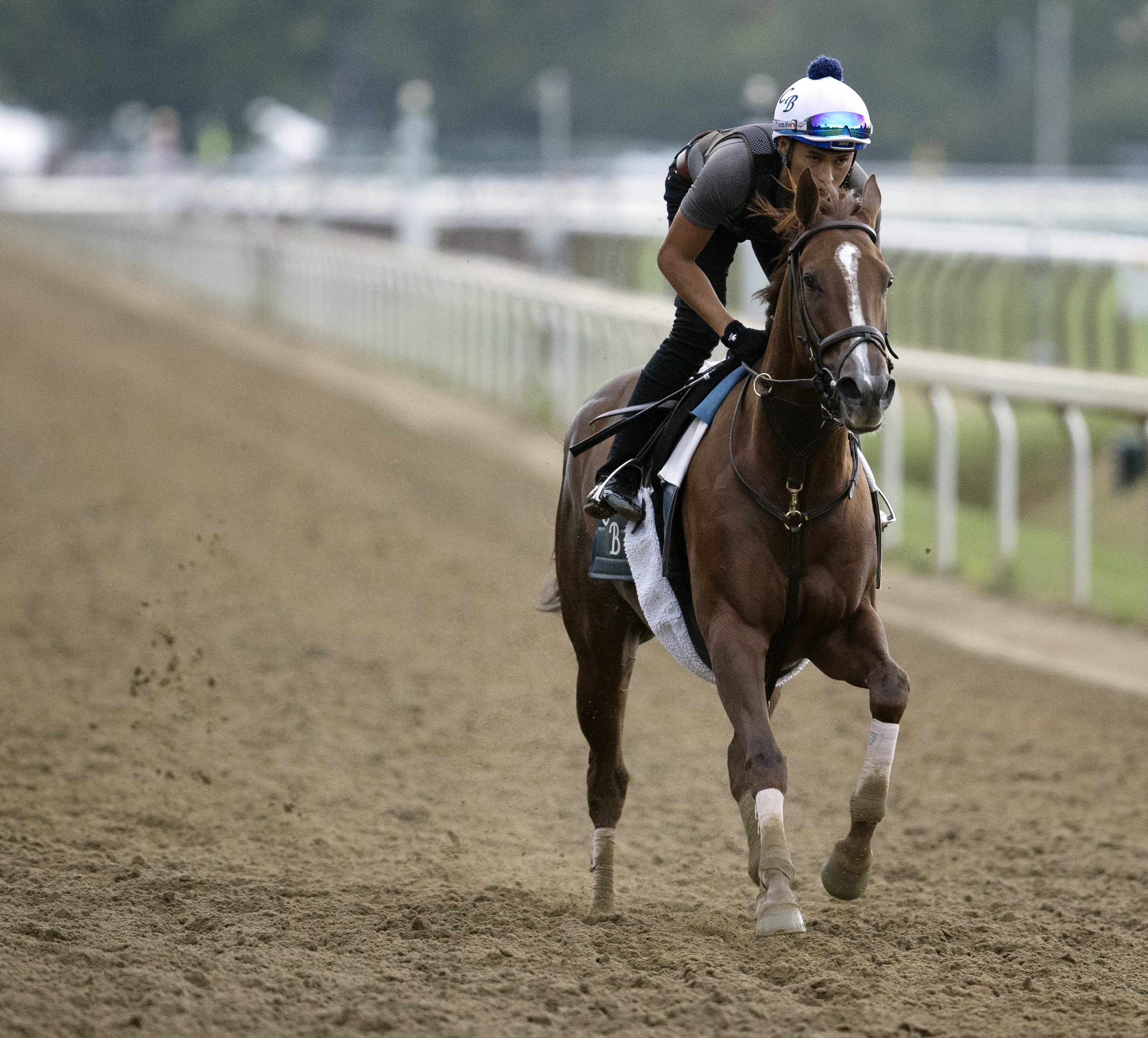 Eminent Victor