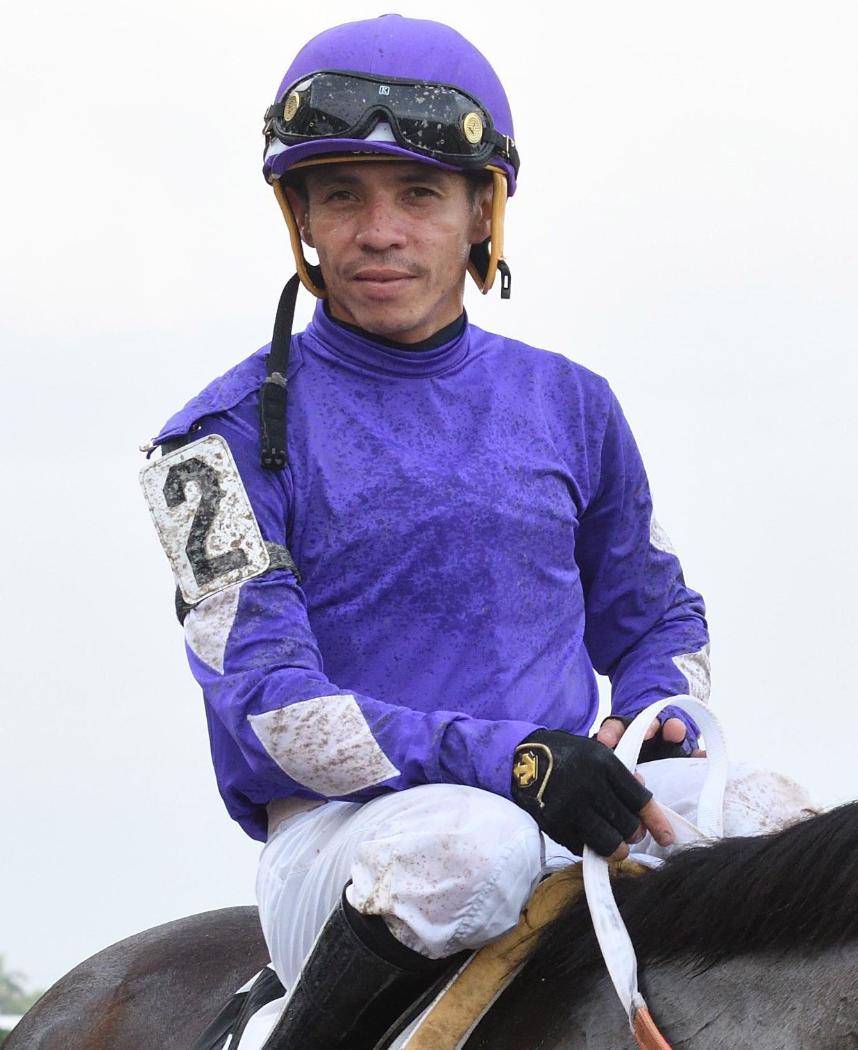 Emisael Jaramillo