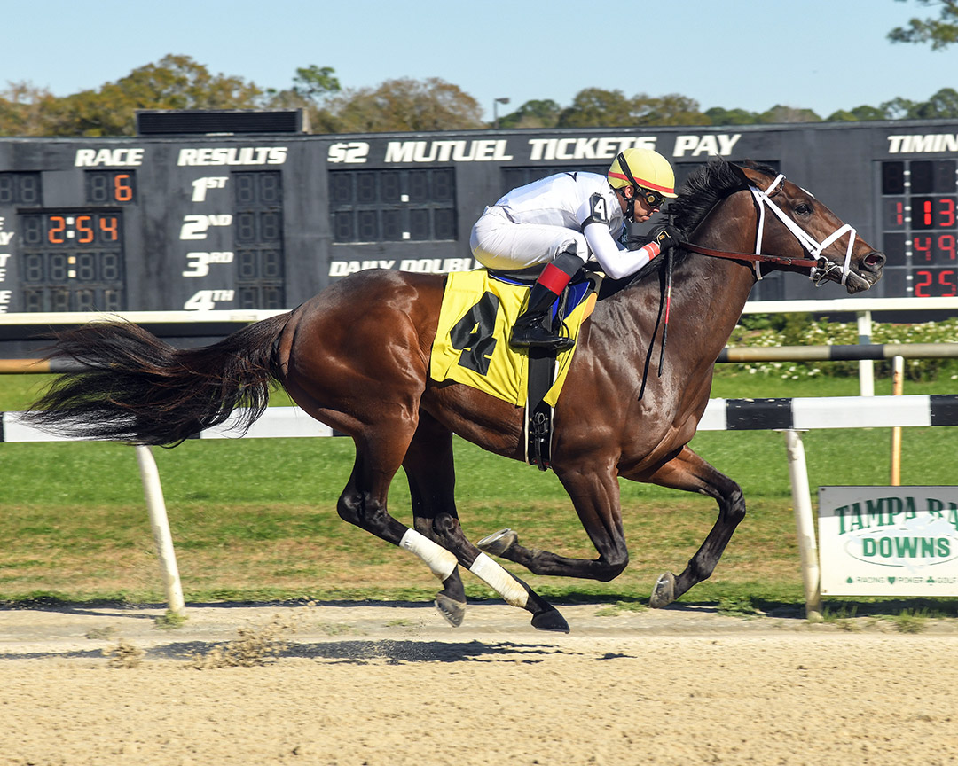 Emmanuel wins a Jan. 30 allowance at Tampa Bay Downs