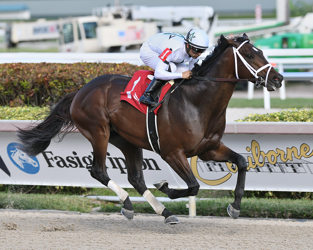 Emmanuel wins a Dec. 11 maiden at Gulfstream Park
