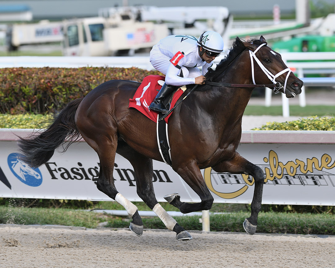 Emmanuel wins a Dec. 11 maiden race at Gulfstream Park