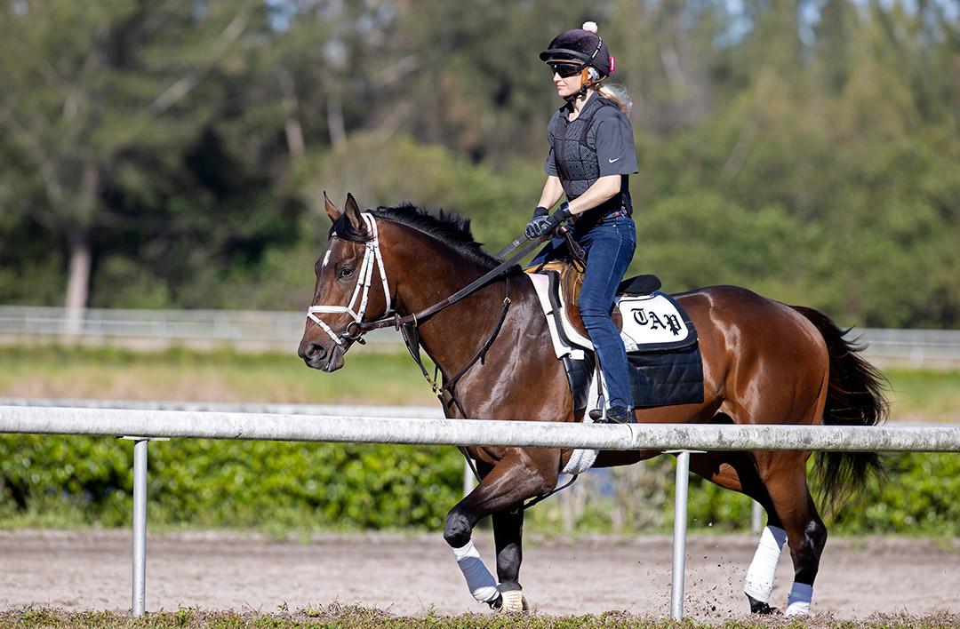 Emmanuel at Palm Beach Downs on Feb. 3