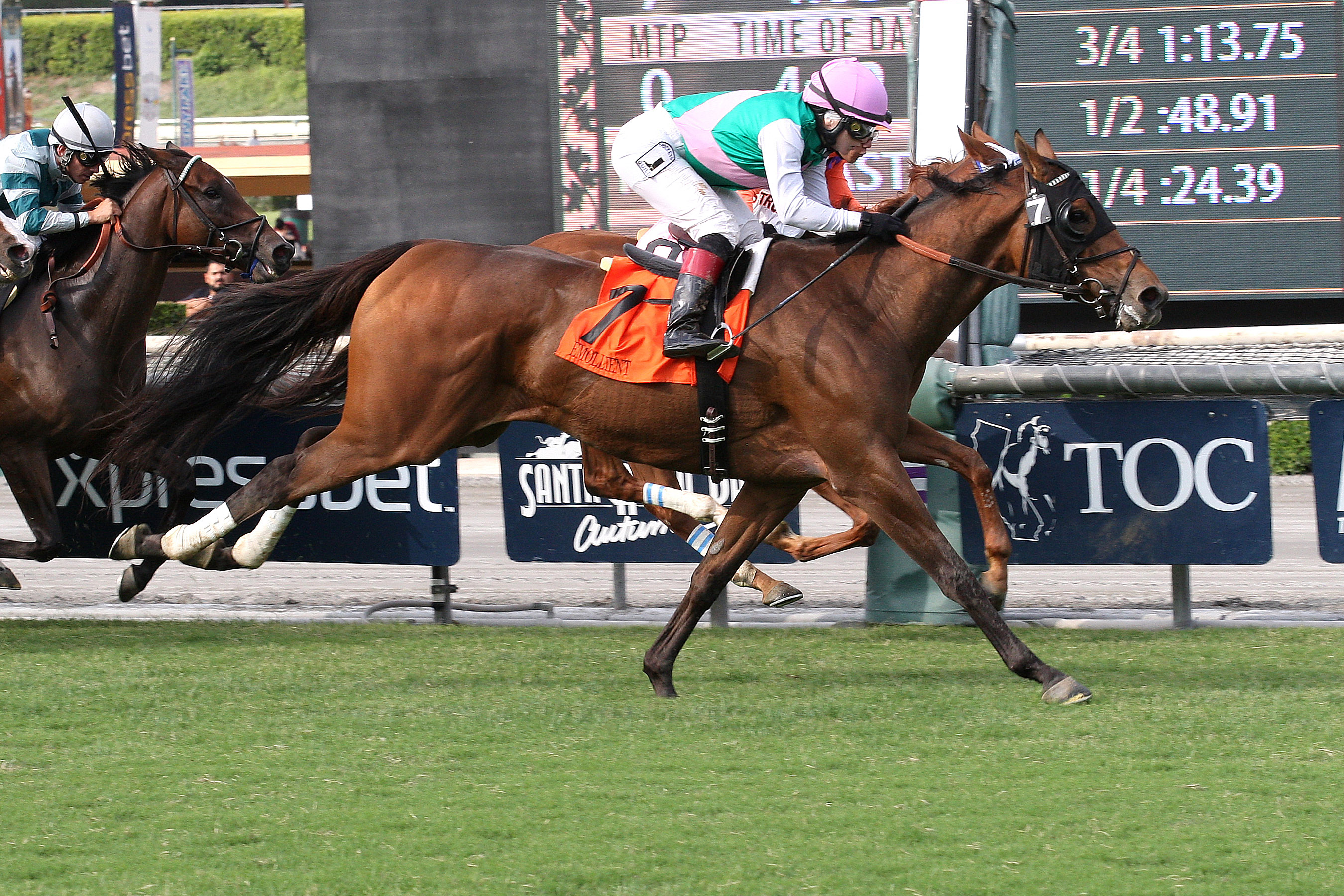 Emollient wins 2014 Rodeo Drive