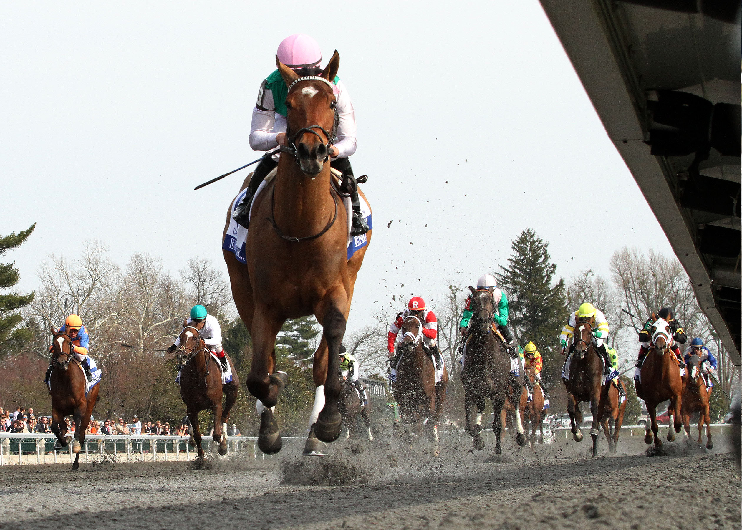 Emollient, Ashland Stakes