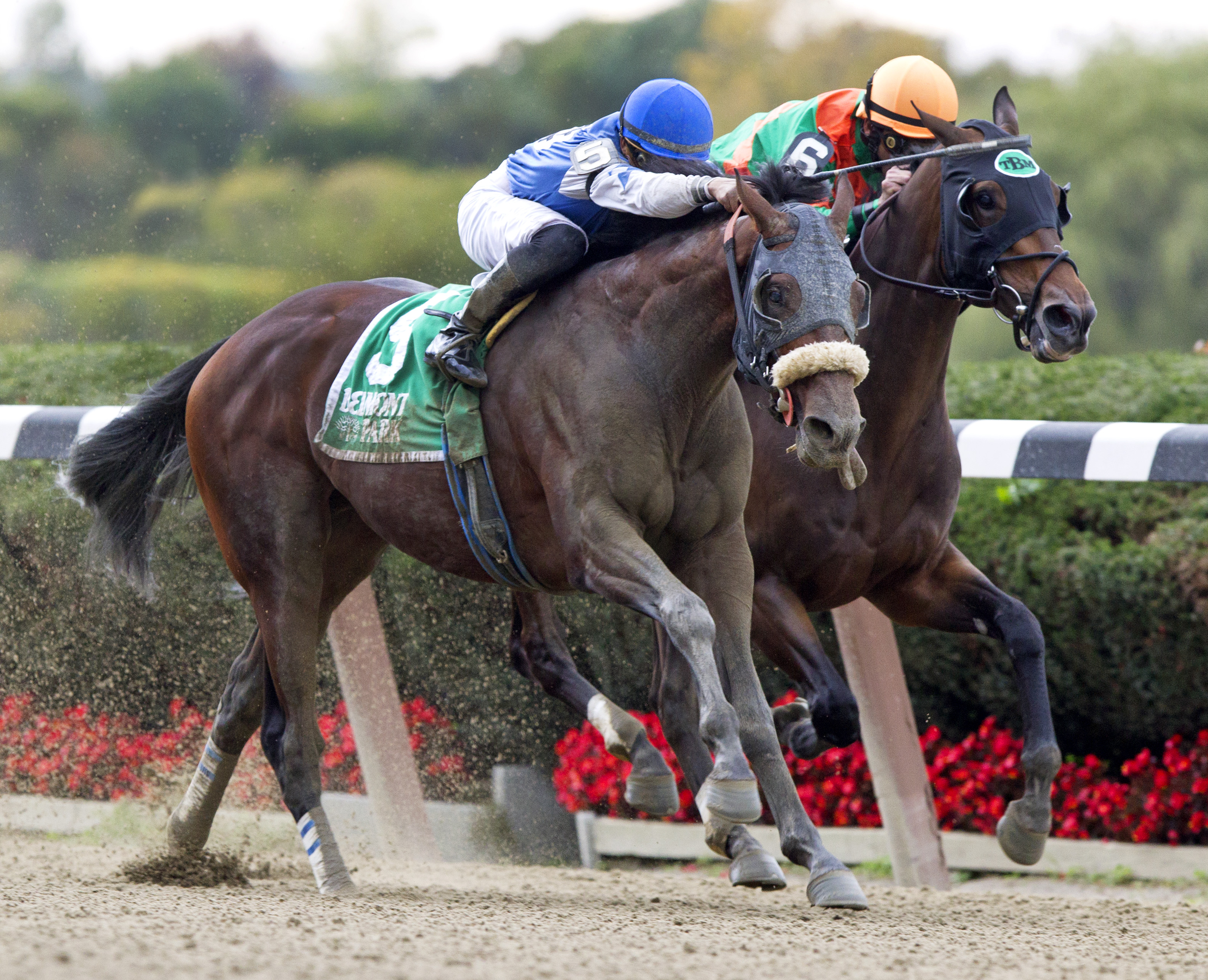 Effinex 10-18-2014