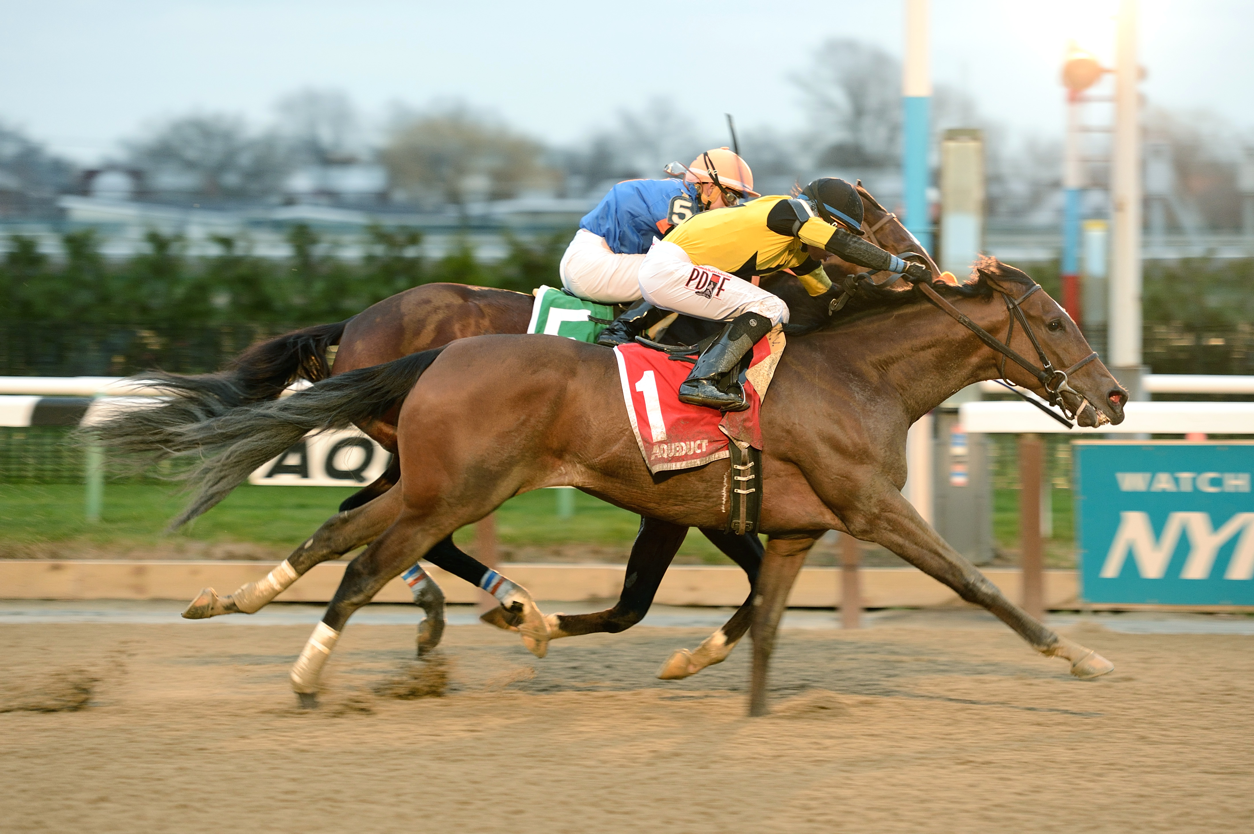 Empire Dreams wins the Alex M. Robb Stakes