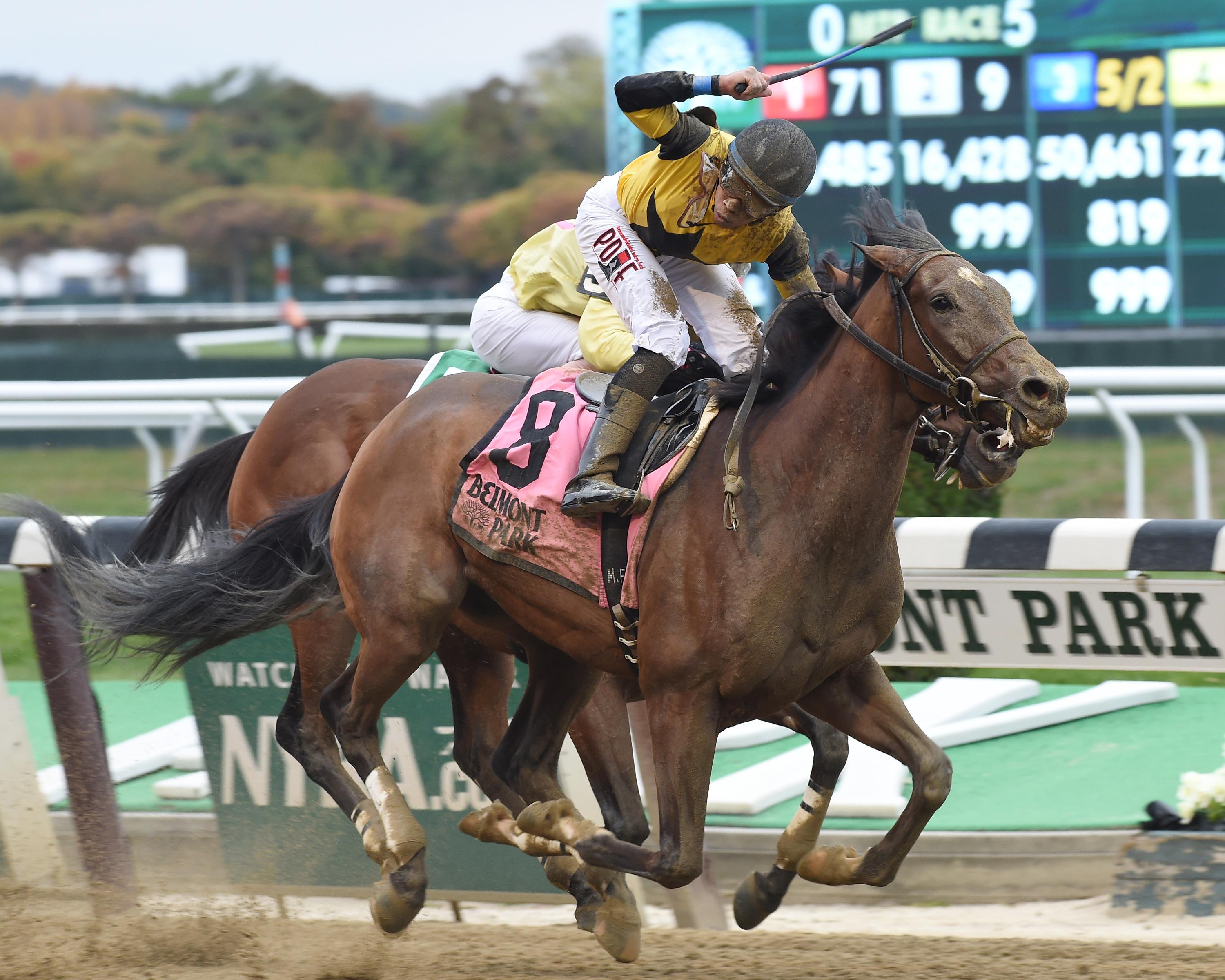 Empire Dreams wins the Empire Classic
