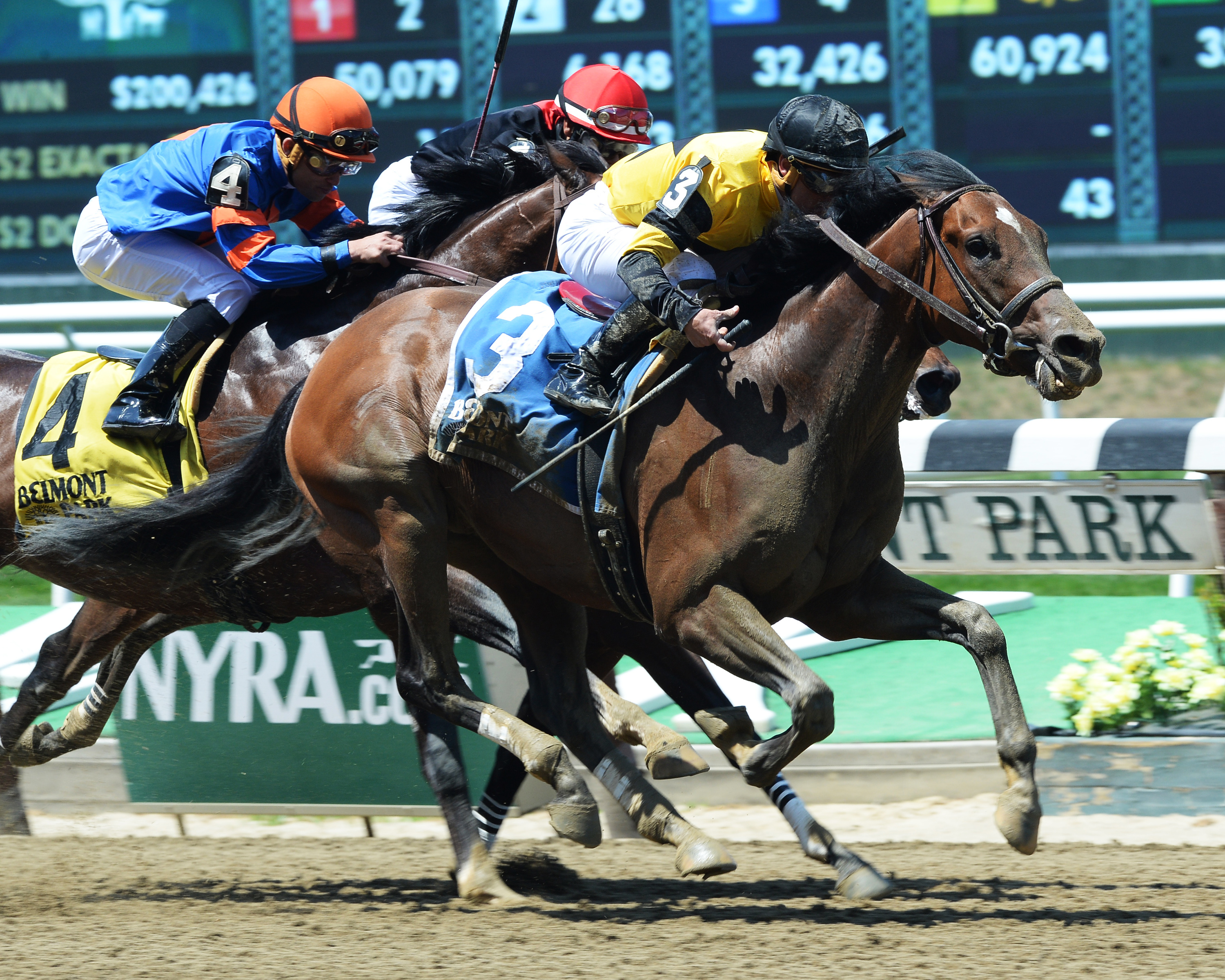 Empire Dreams wins the Commentator