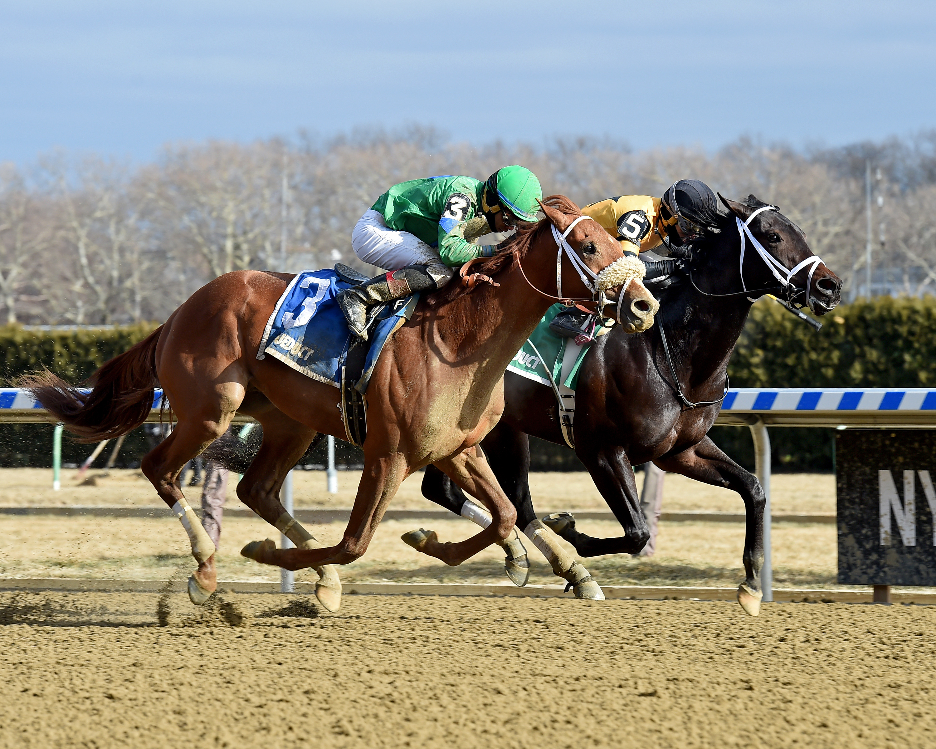 Empire Line wins the Damon Runyon Stakes