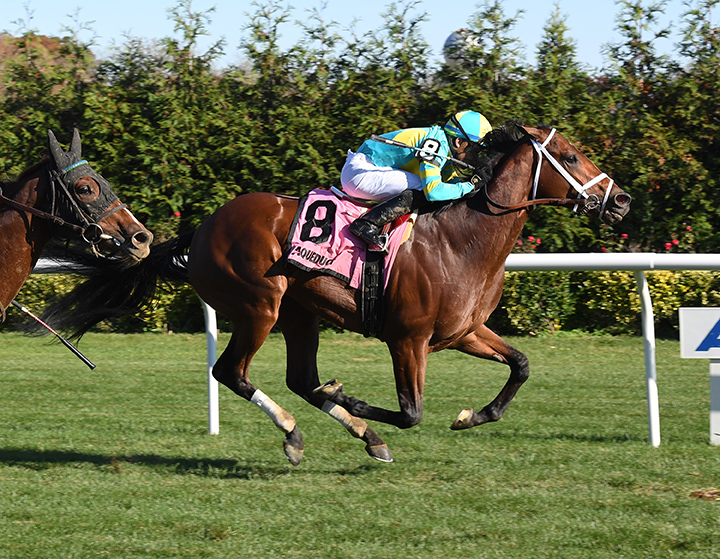 Empire of War wins the 2018 Awad Stakes